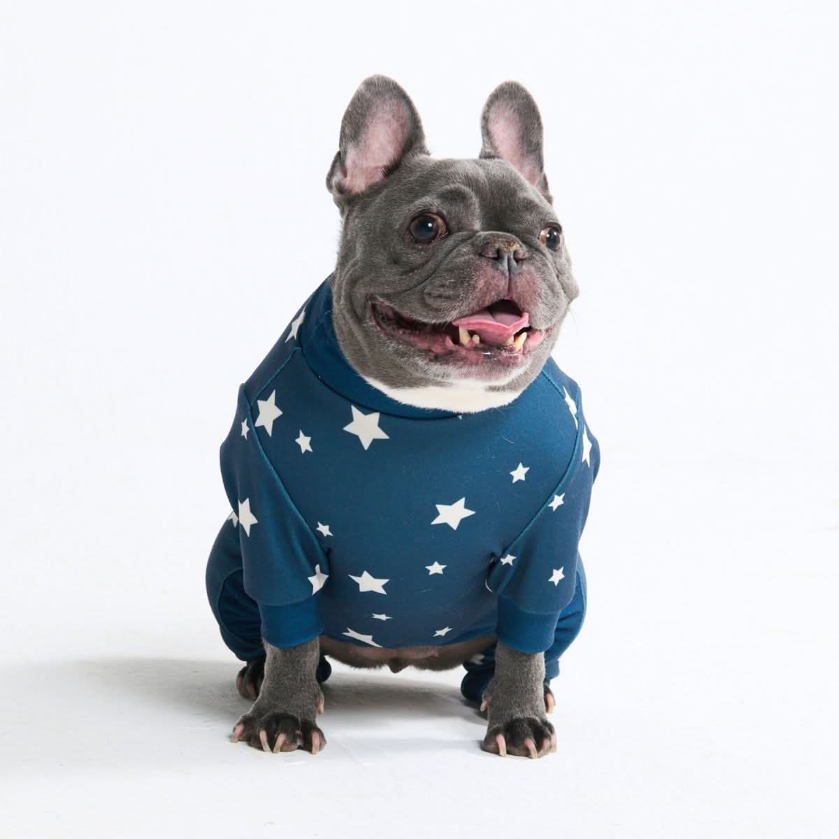 Dog Pajama - Stars - Image 6