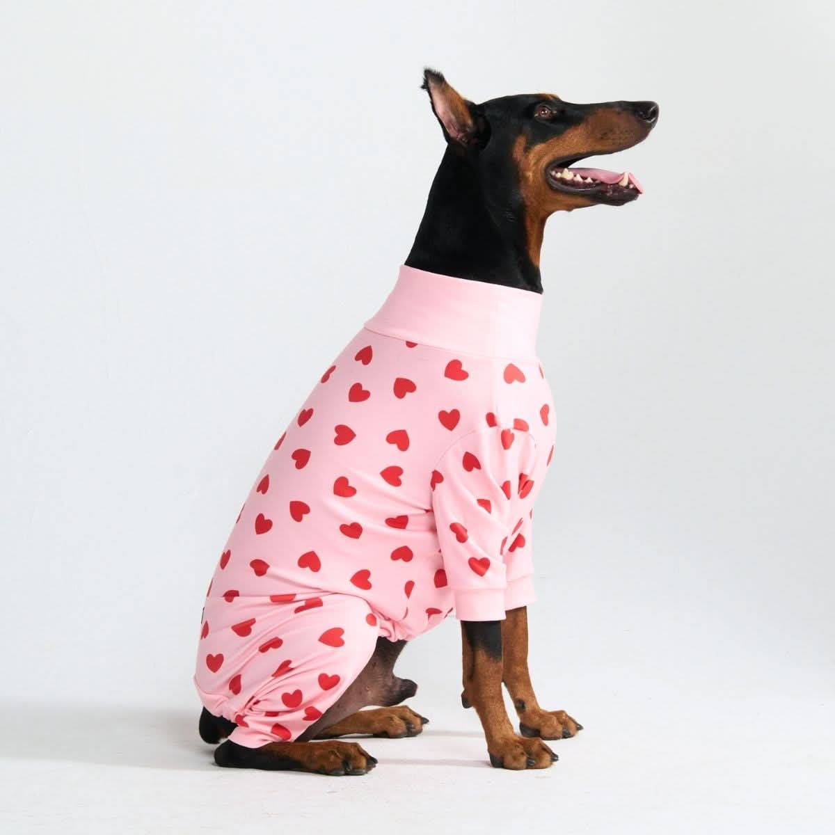 Dog Pajama - Pink Hearts - Image 6