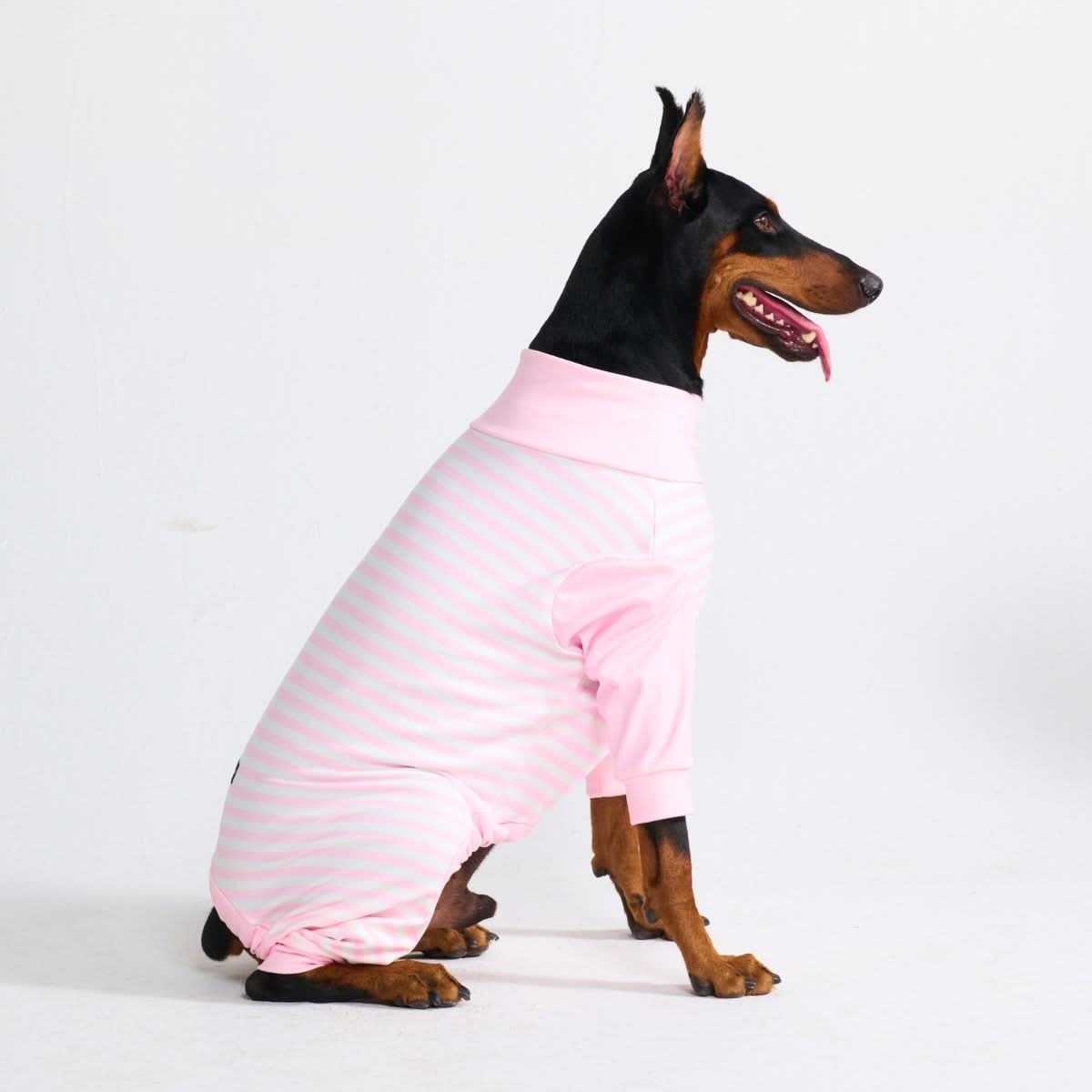 Dog Pajama - Pink Stripes - Image 3