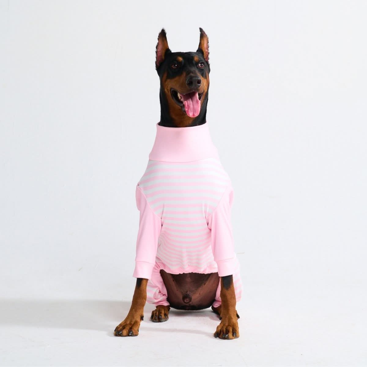 Dog Pajama - Pink Stripes - Image 5