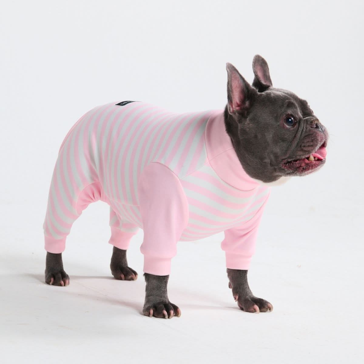 Dog Pajama - Pink Stripes - Image 6