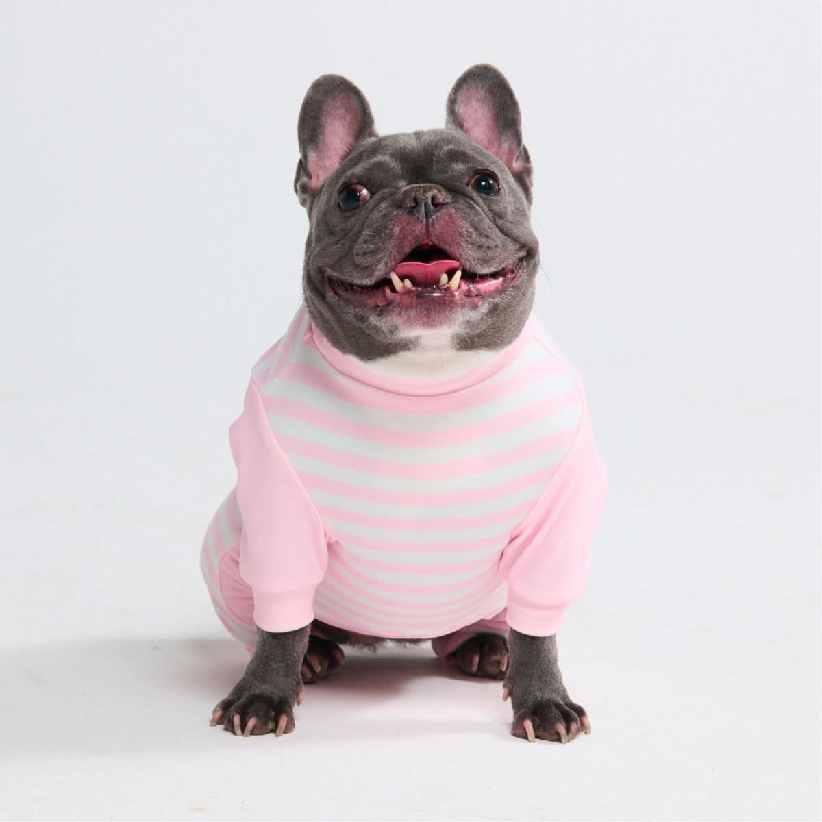 Dog Pajama - Pink Stripes - Image 7