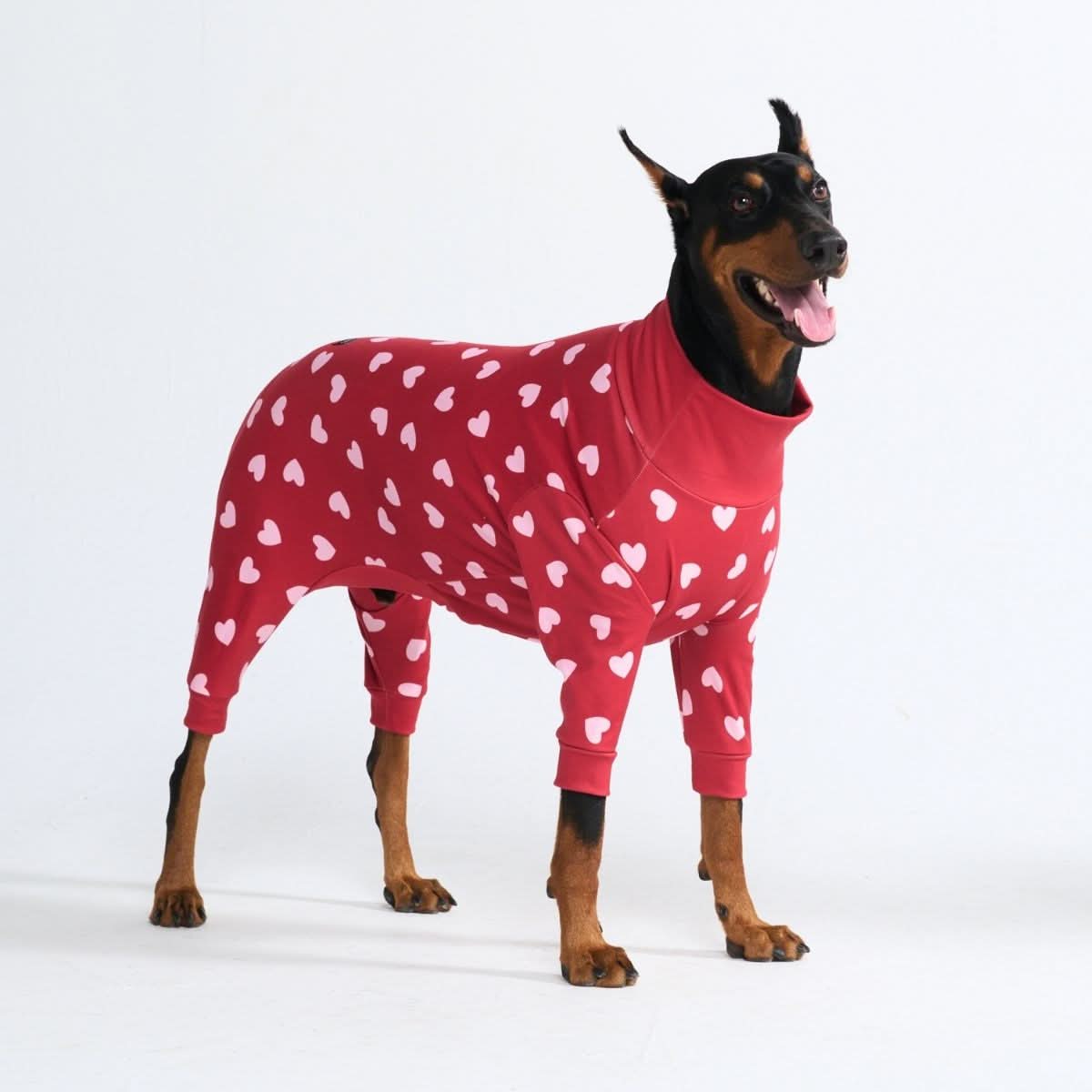 Dog Pajama - Red Hearts - Image 3