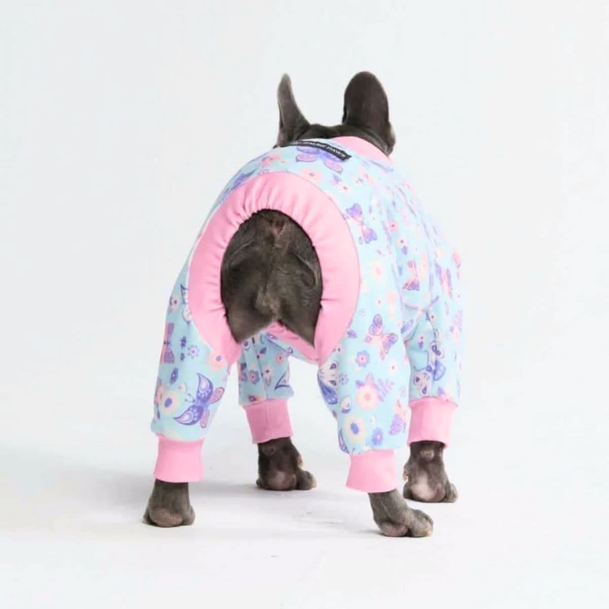 Dog Pajama - Butterfly - Image 6