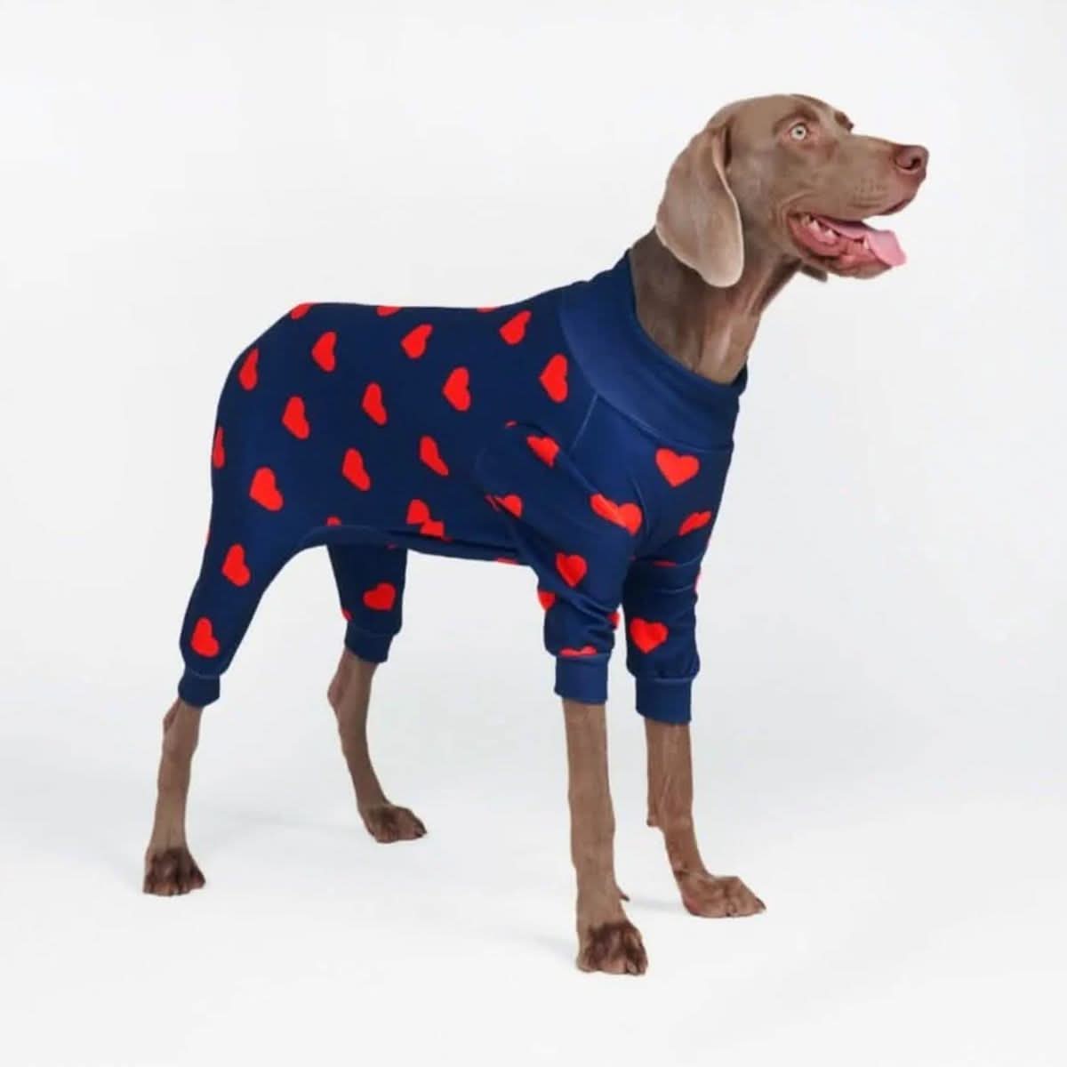 Dog Pajama - Hearts - Image 12