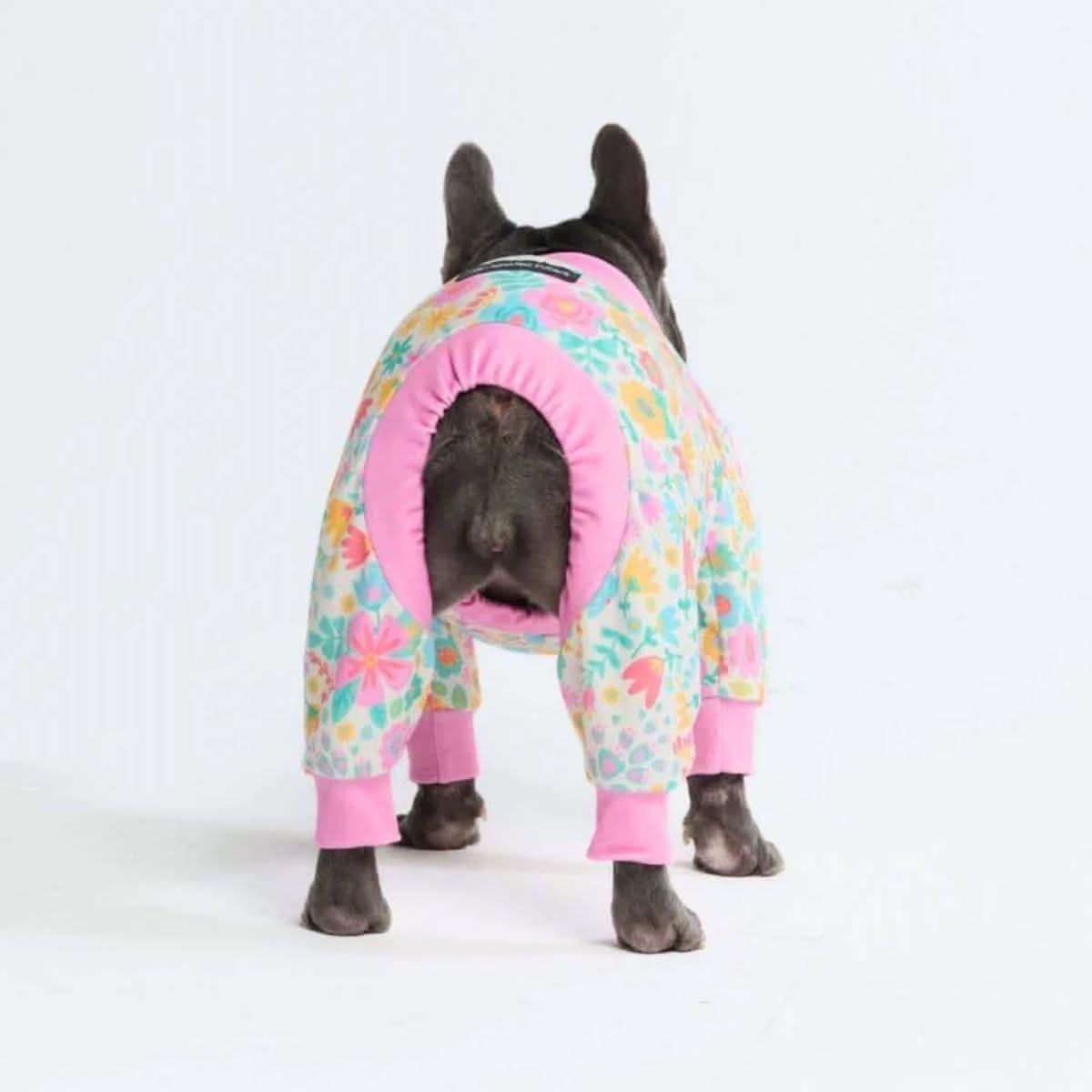 Dog Pajama - Meadows - Image 5