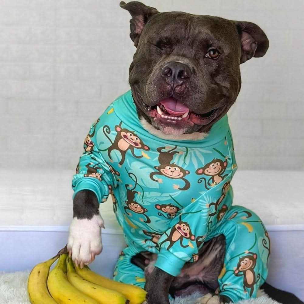 Dog Pajama - Monkey Business - Image 13
