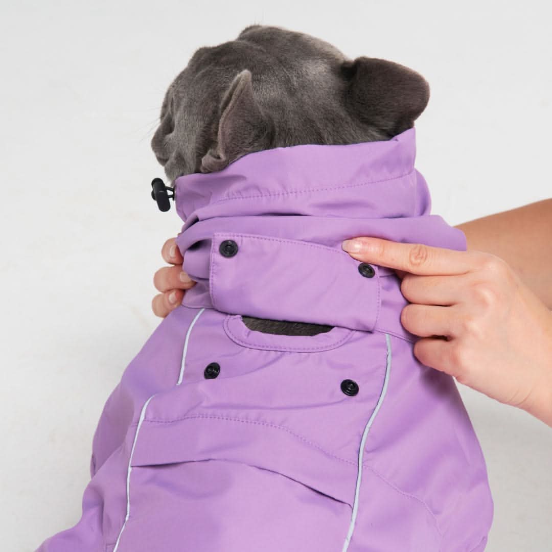Breatheshield™ Dog Raincoat - Purple - Image 3