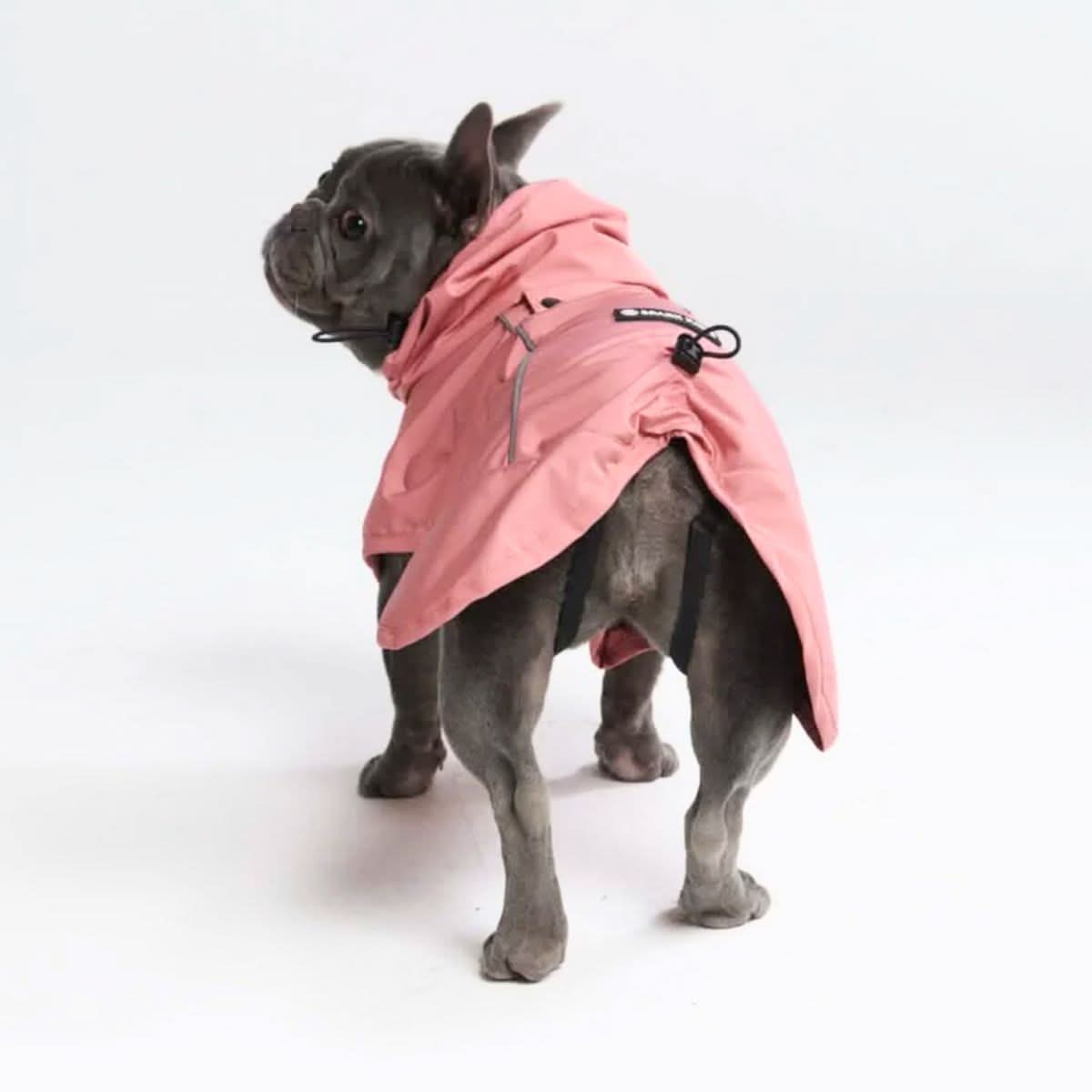 Breatheshield™ Dog Raincoat - Sea Pink - Image 4