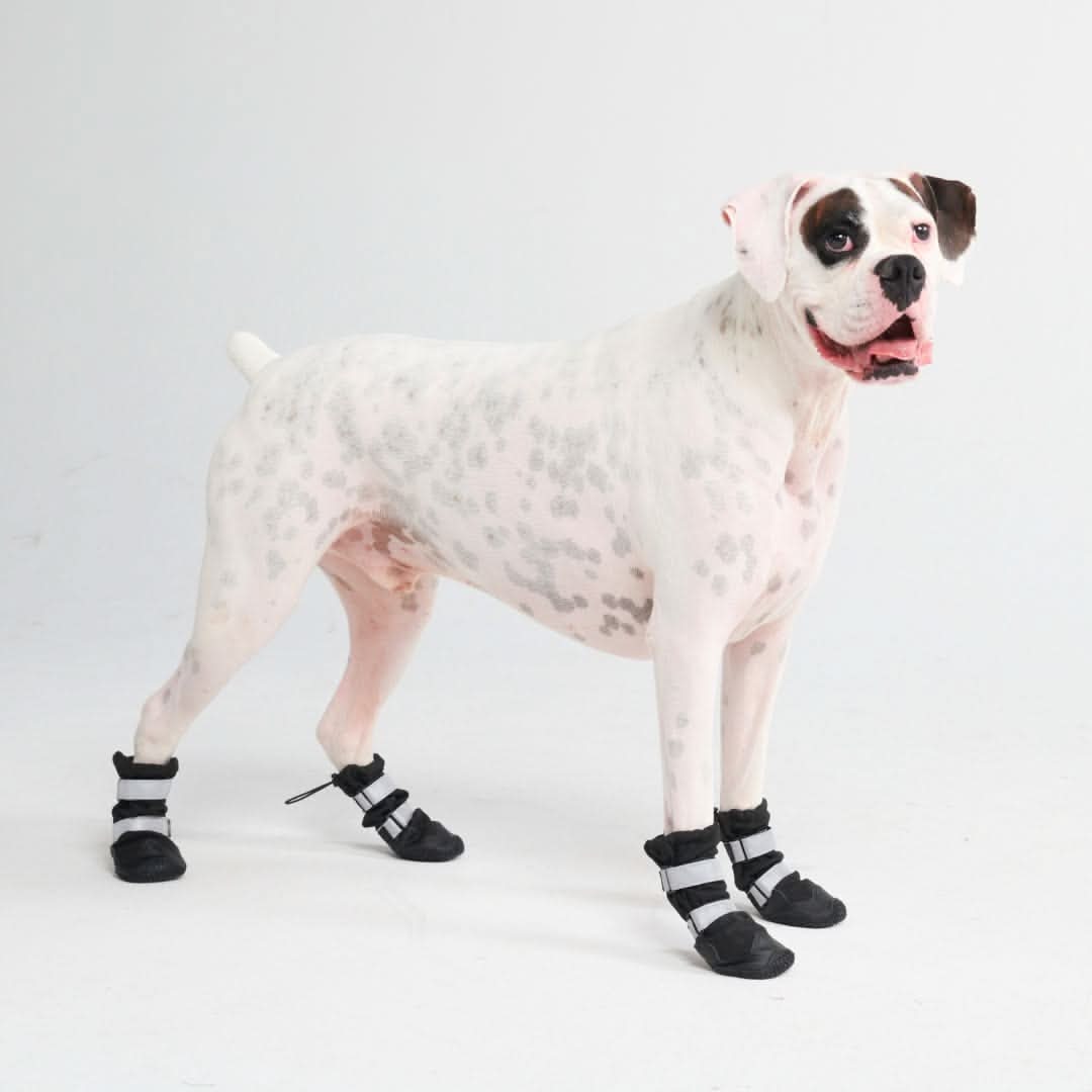 Dog Rainboots. Waterproof Dog Shoes - Black - Image 8