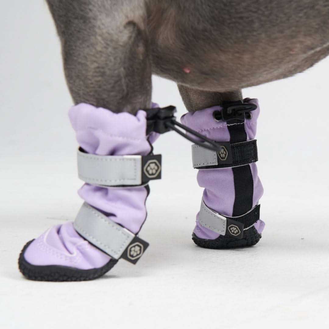 Dog Rainboots. Waterproof Dog Shoes - Lilac - Image 3