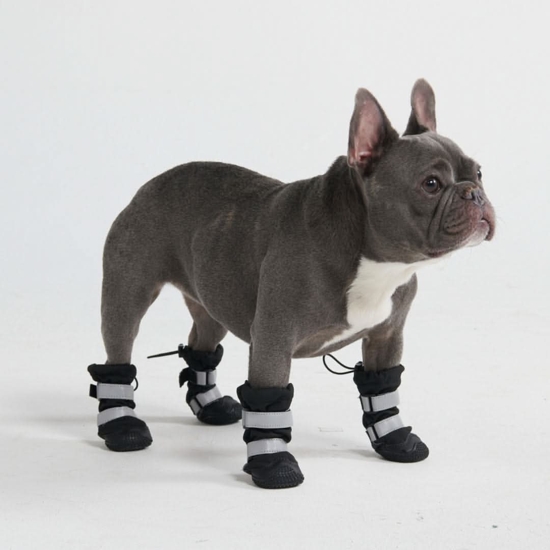 Dog Rainboots. Waterproof Dog Shoes - Black - Image 2