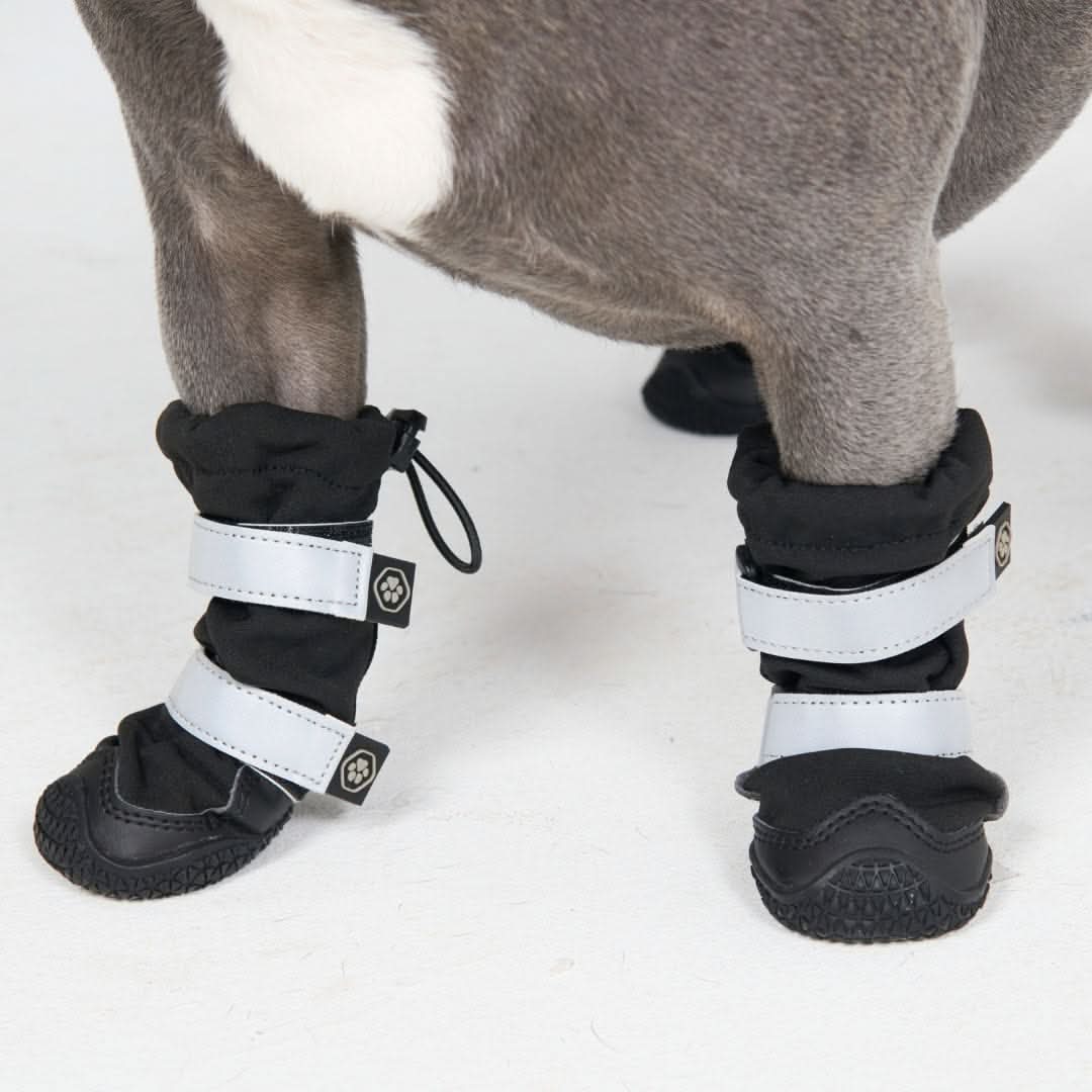 Dog Rainboots. Waterproof Dog Shoes - Black - Image 7