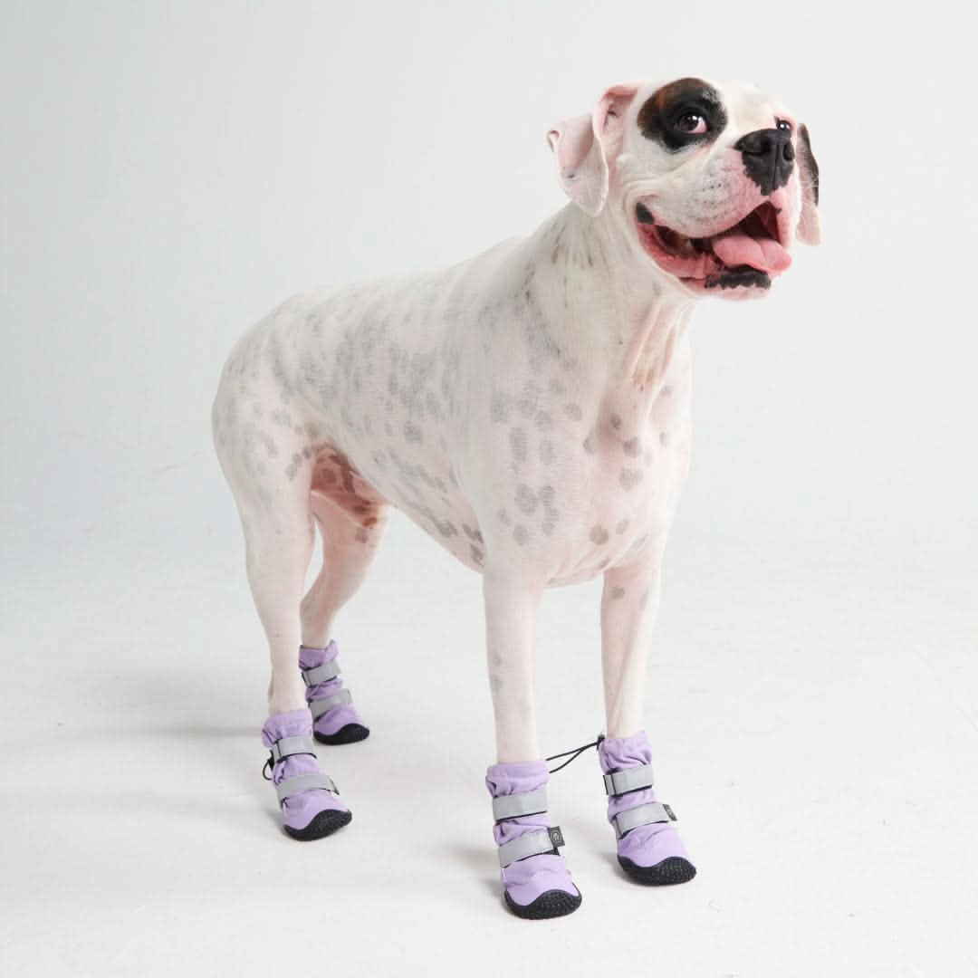 Dog Rainboots. Waterproof Dog Shoes - Lilac - Image 6