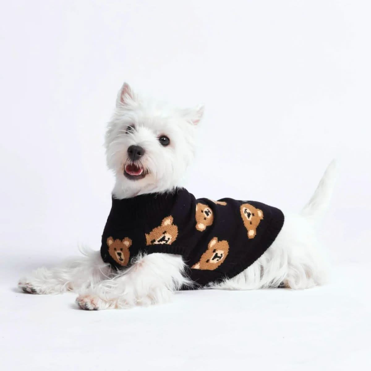 Broken Teddy Bear Knit Dog Sweater - Black - Image 4