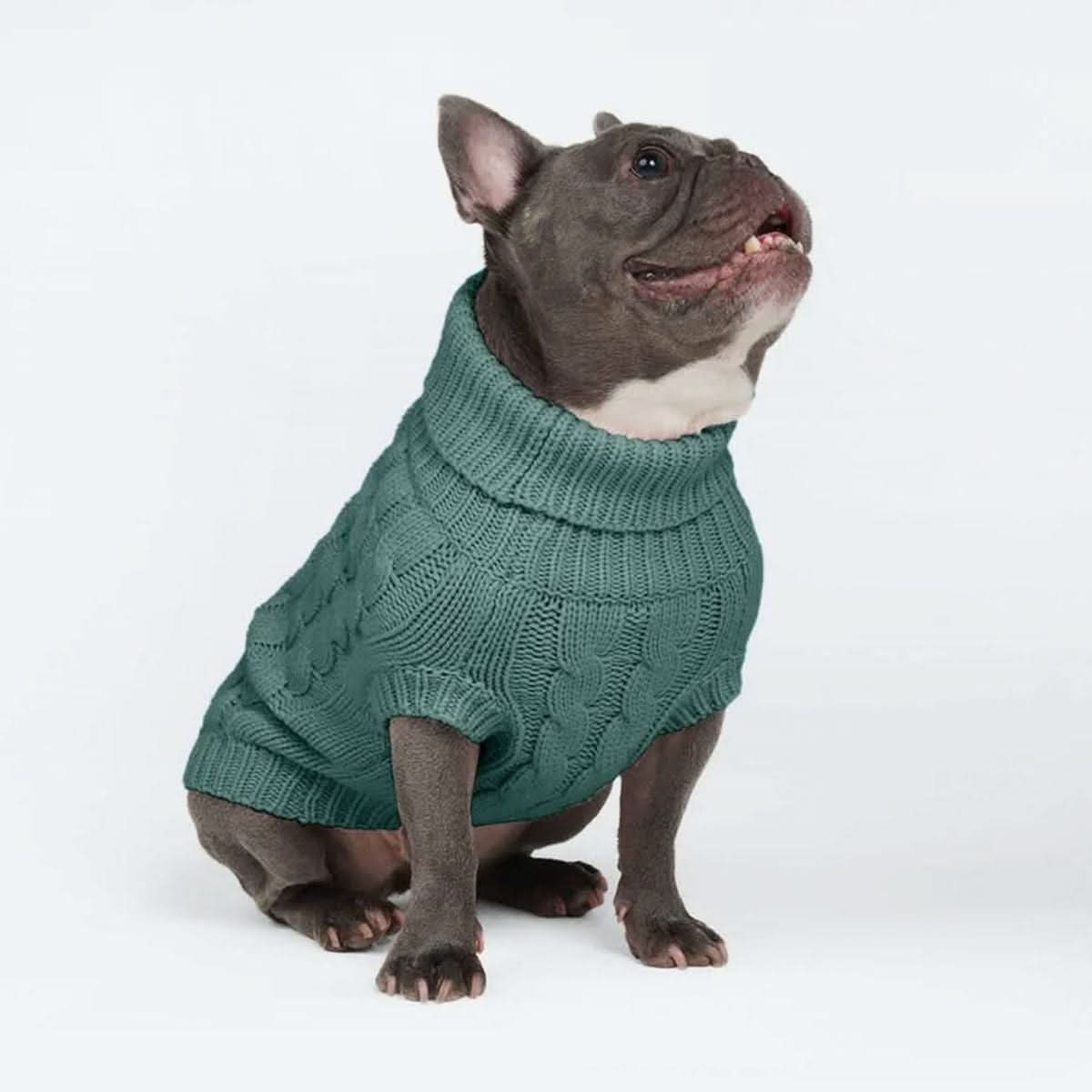Cable Knit Dog Sweater - Pine Green - Image 11
