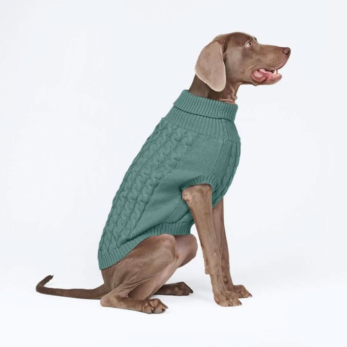 Cable Knit Dog Sweater - Pine Green - Image 6