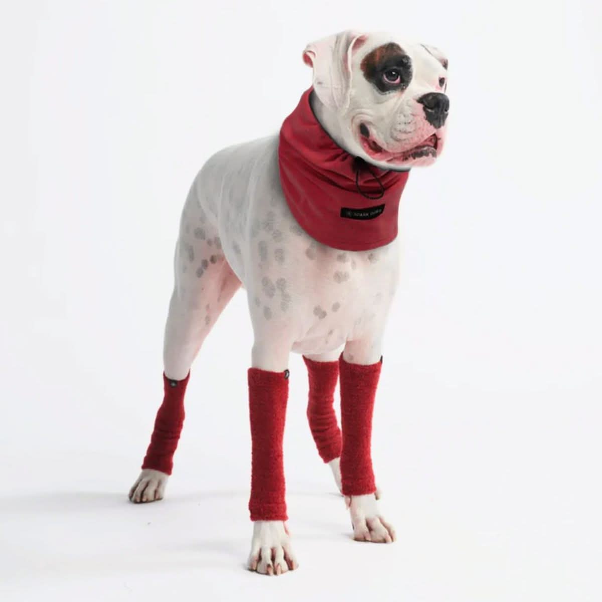 Stretchy Fleece Dog Leg Warmer Sleeves - Red - Image 3