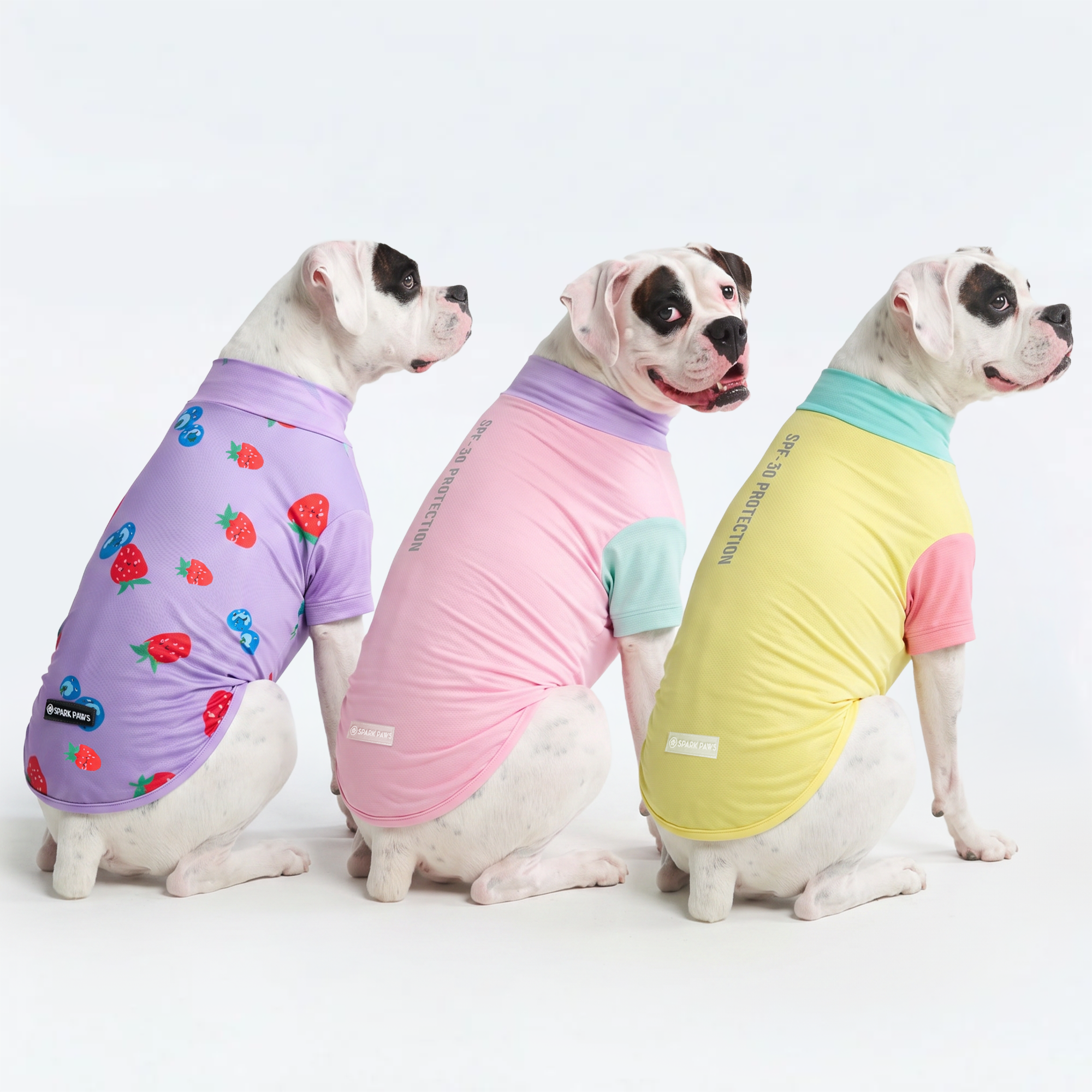 Sunblock Dog T-Shirt (3-pack) - Gelato. Yuzu. Berries - Image 3