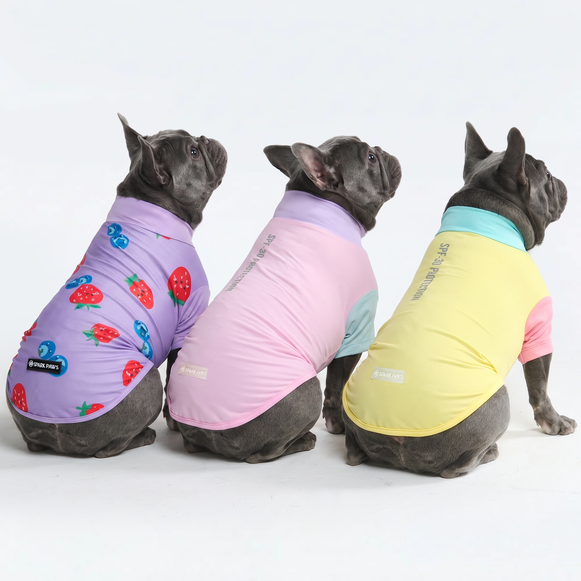 Sunblock Dog T-Shirt (3-pack) - Gelato. Yuzu. Berries
