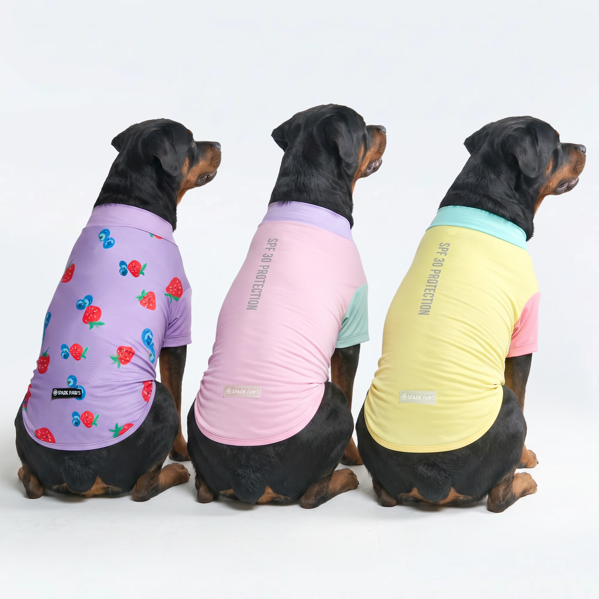 Sunblock Dog T-Shirt (3-pack) - Gelato. Yuzu. Berries - Image 4