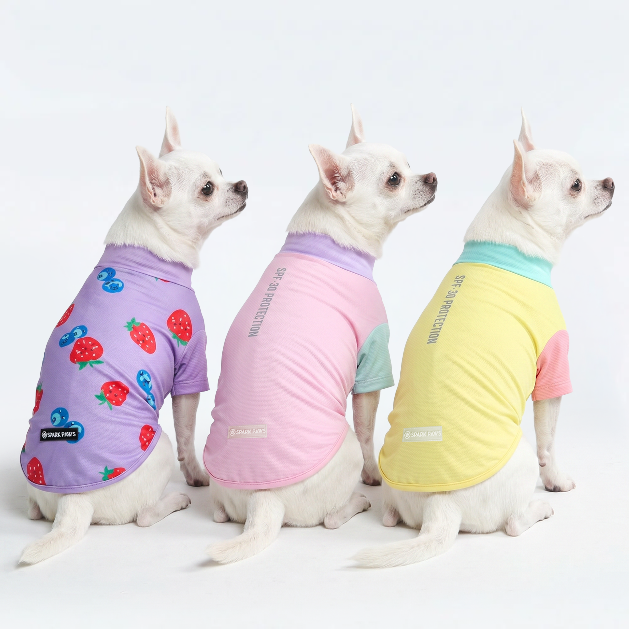 Sunblock Dog T-Shirt (3-pack) - Gelato. Yuzu. Berries - Image 2