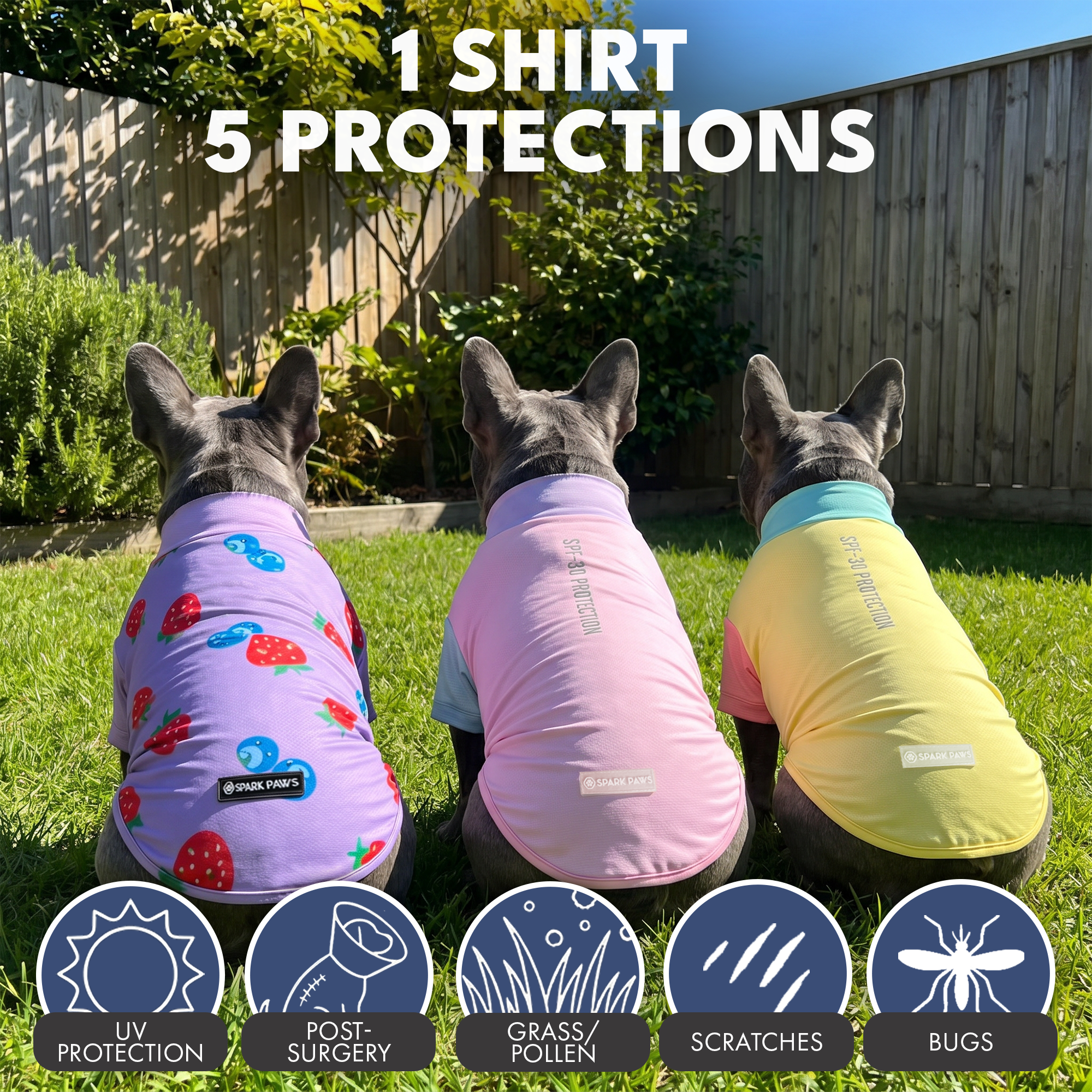Sunblock Dog T-Shirt (3-pack) - Gelato. Yuzu. Berries - Image 7