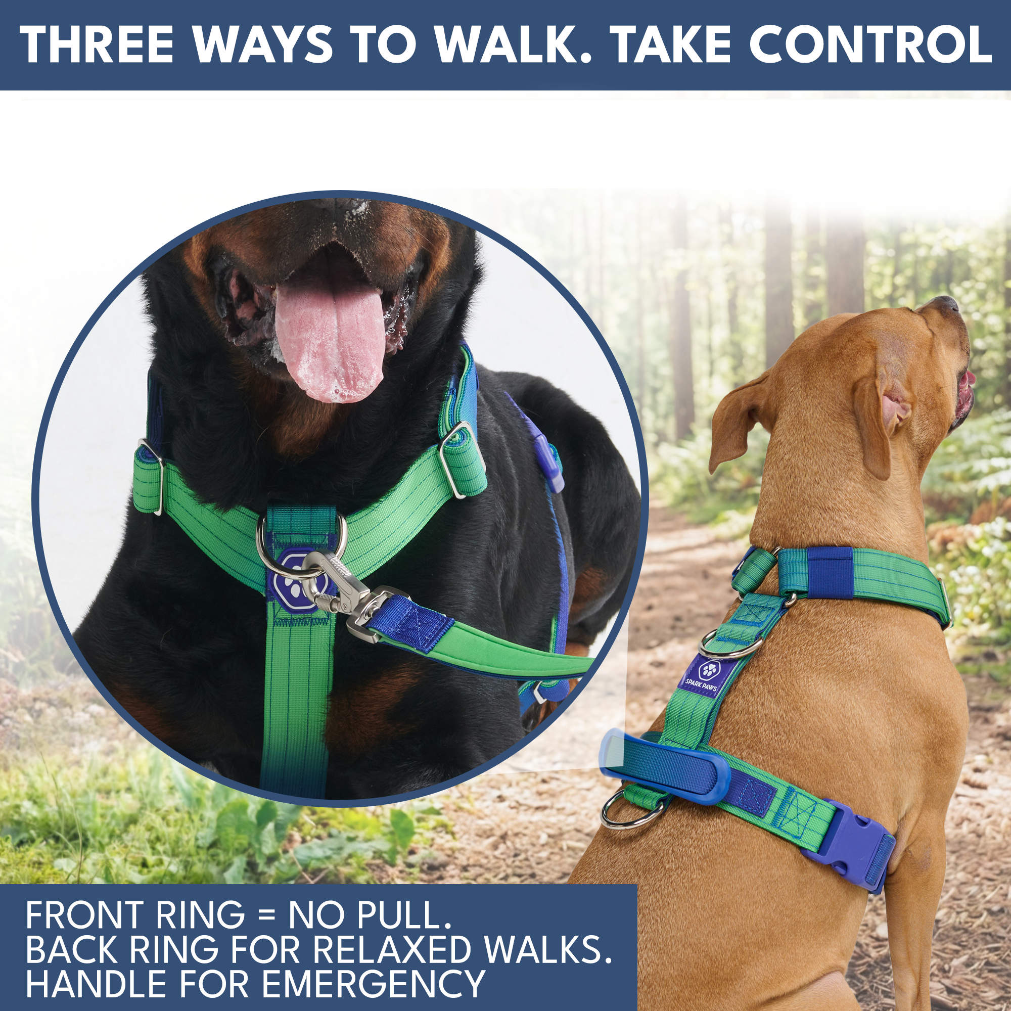 Comfort Control No-Pull Dog Harness and Multipurpose Leash Set - Lime Wave - Image 4