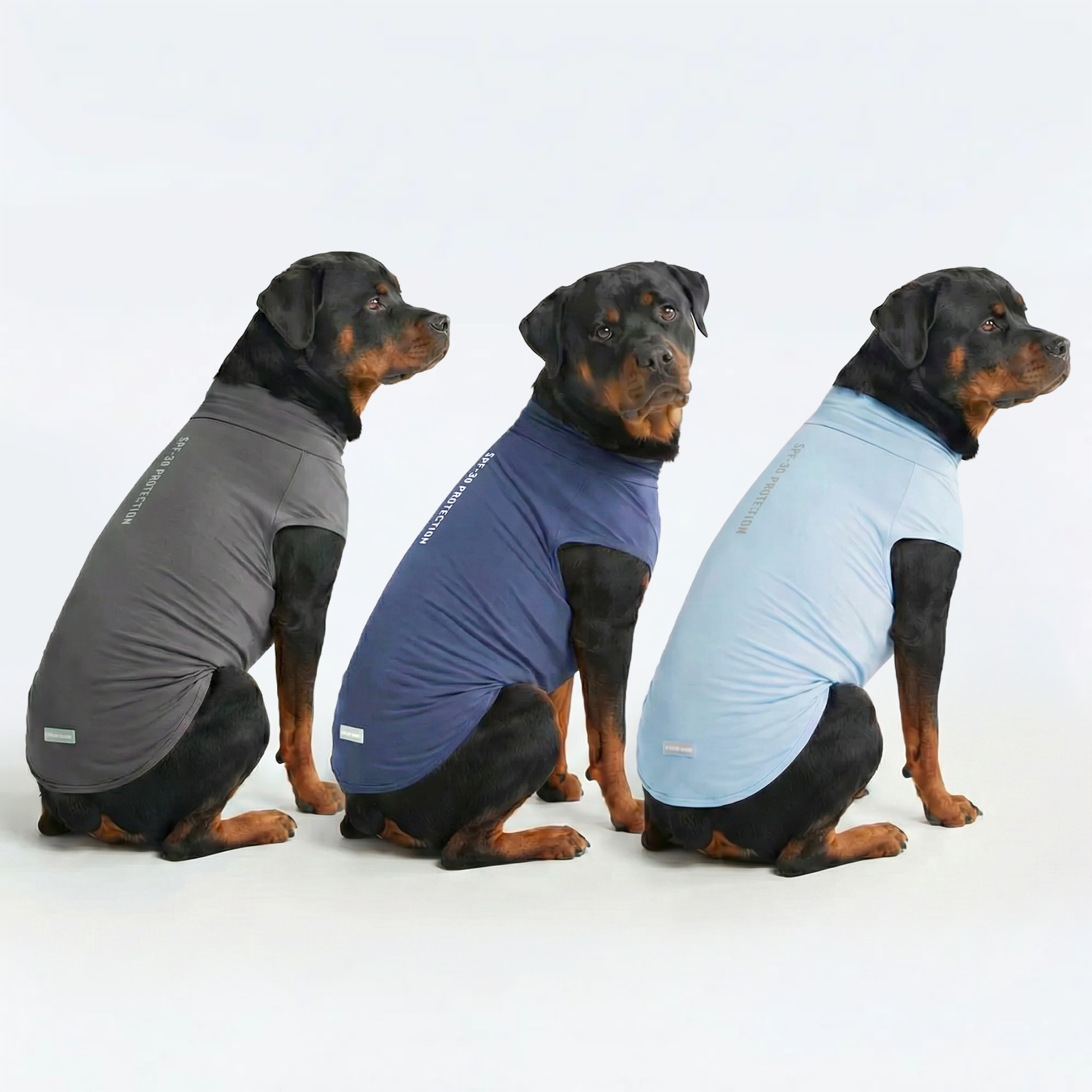 Sunblock Dog T-Shirt (3-pack) - Navy Blue. Dark Grey. Blue - Image 4