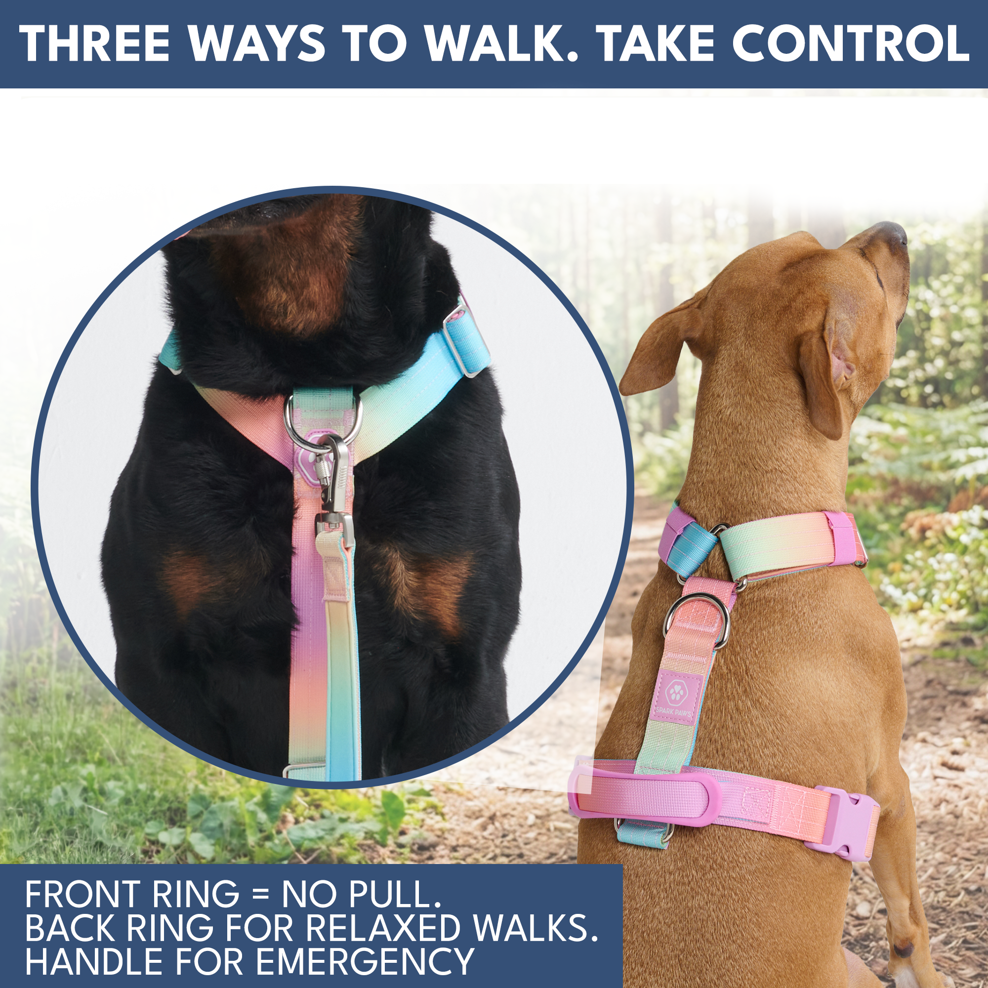 Comfort Control No-Pull Dog Harness and Multipurpose Leash Set - Pastel Icing - Image 4