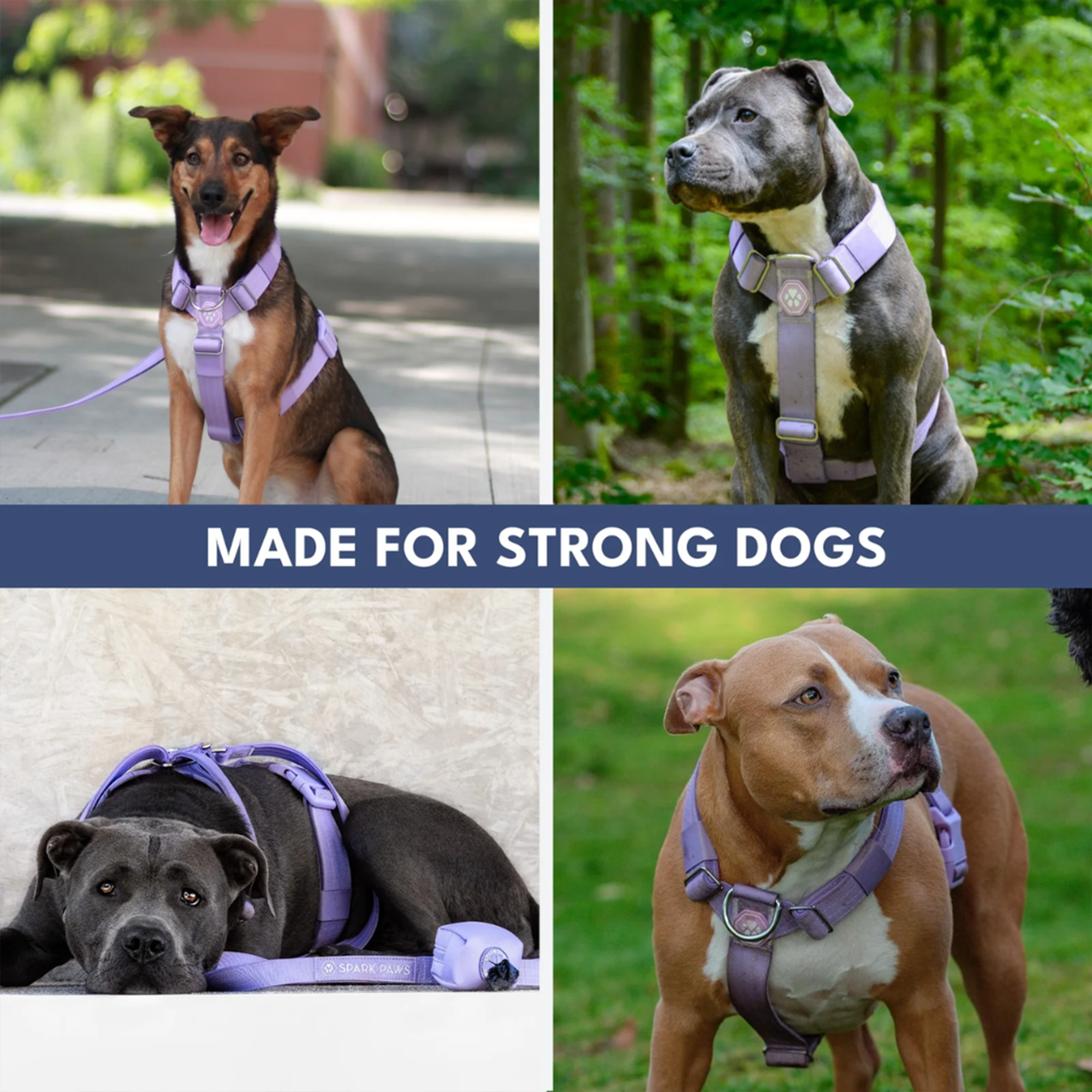 Comfort Control No-Pull Dog Harness and Multipurpose Leash Set - Purple - Image 6