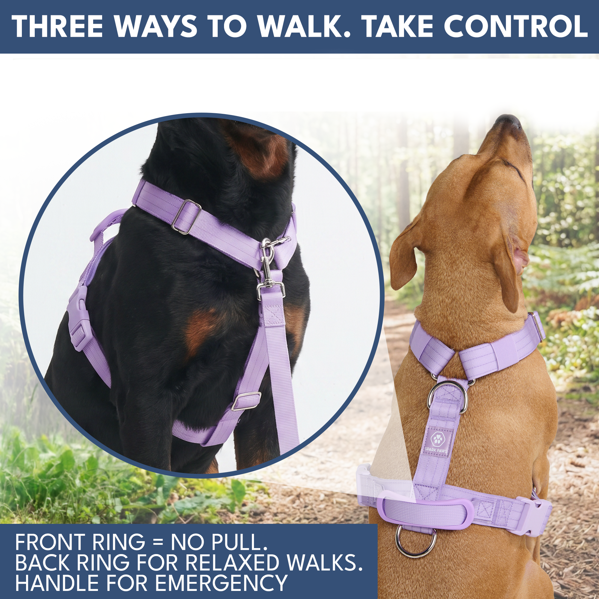 Comfort Control No-Pull Dog Harness and Multipurpose Leash Set - Purple - Image 4