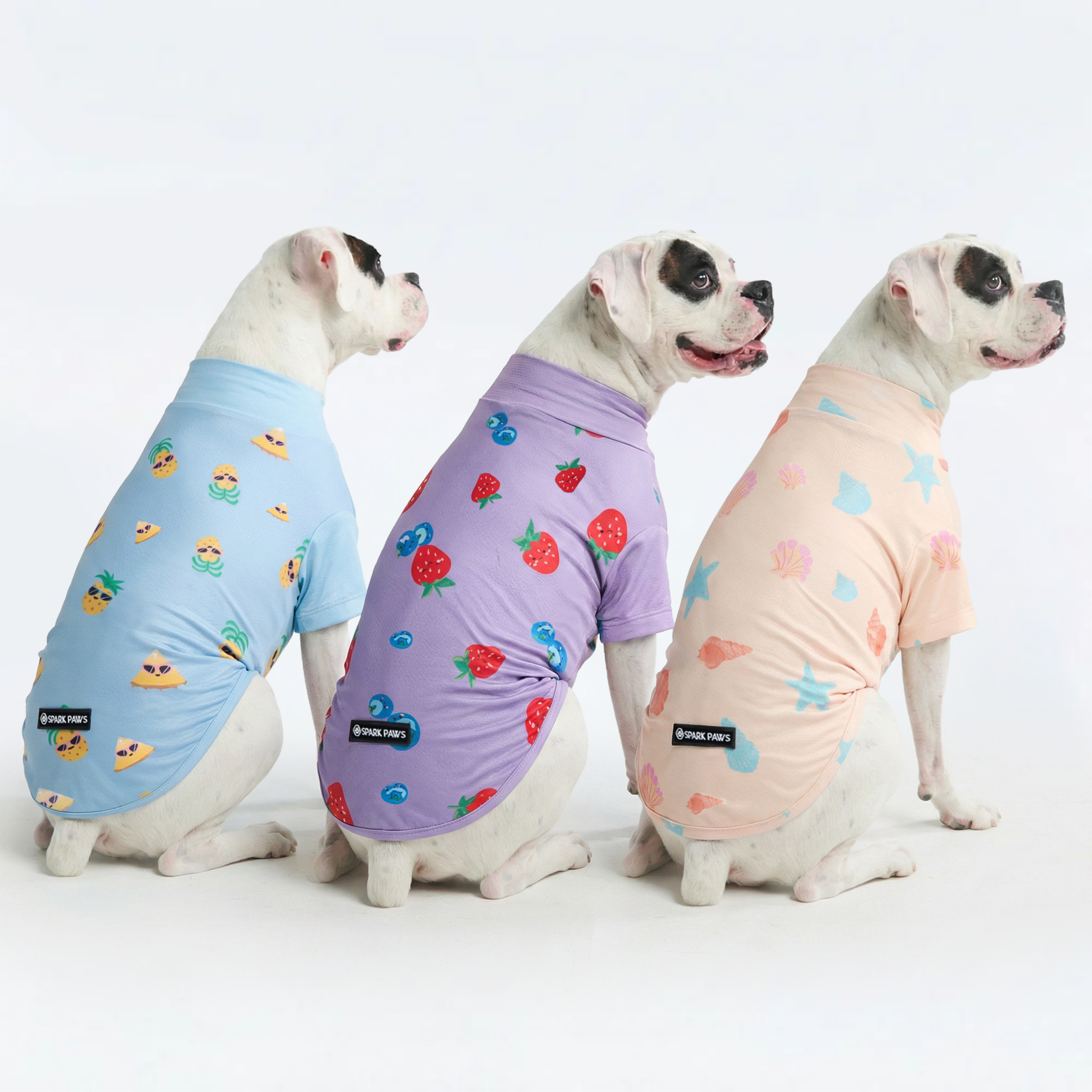 Sunblock Dog T-Shirt (3-pack) - Seashell. Berries. Pineapple - Image 4