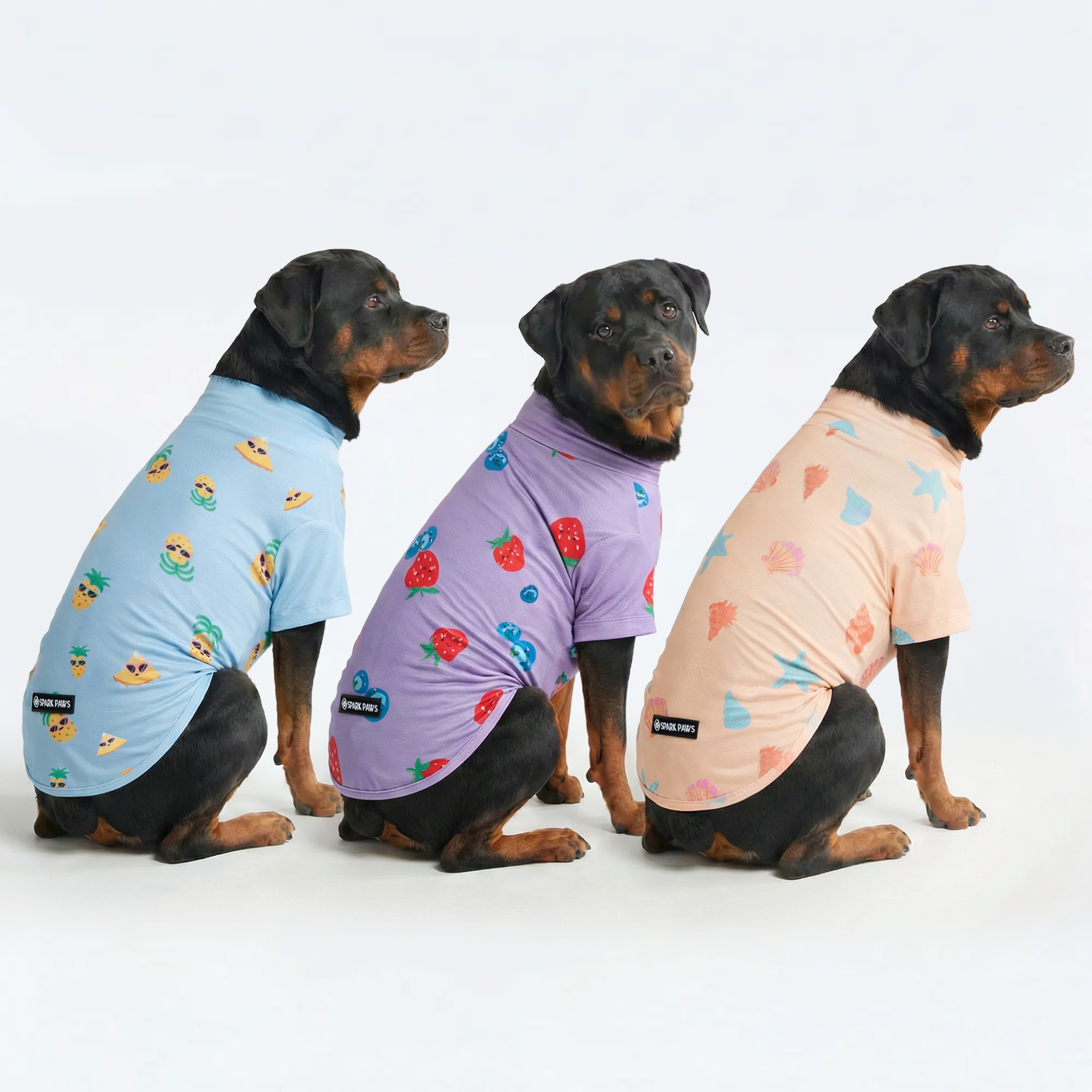 Sunblock Dog T-Shirt (3-pack) - Seashell. Berries. Pineapple