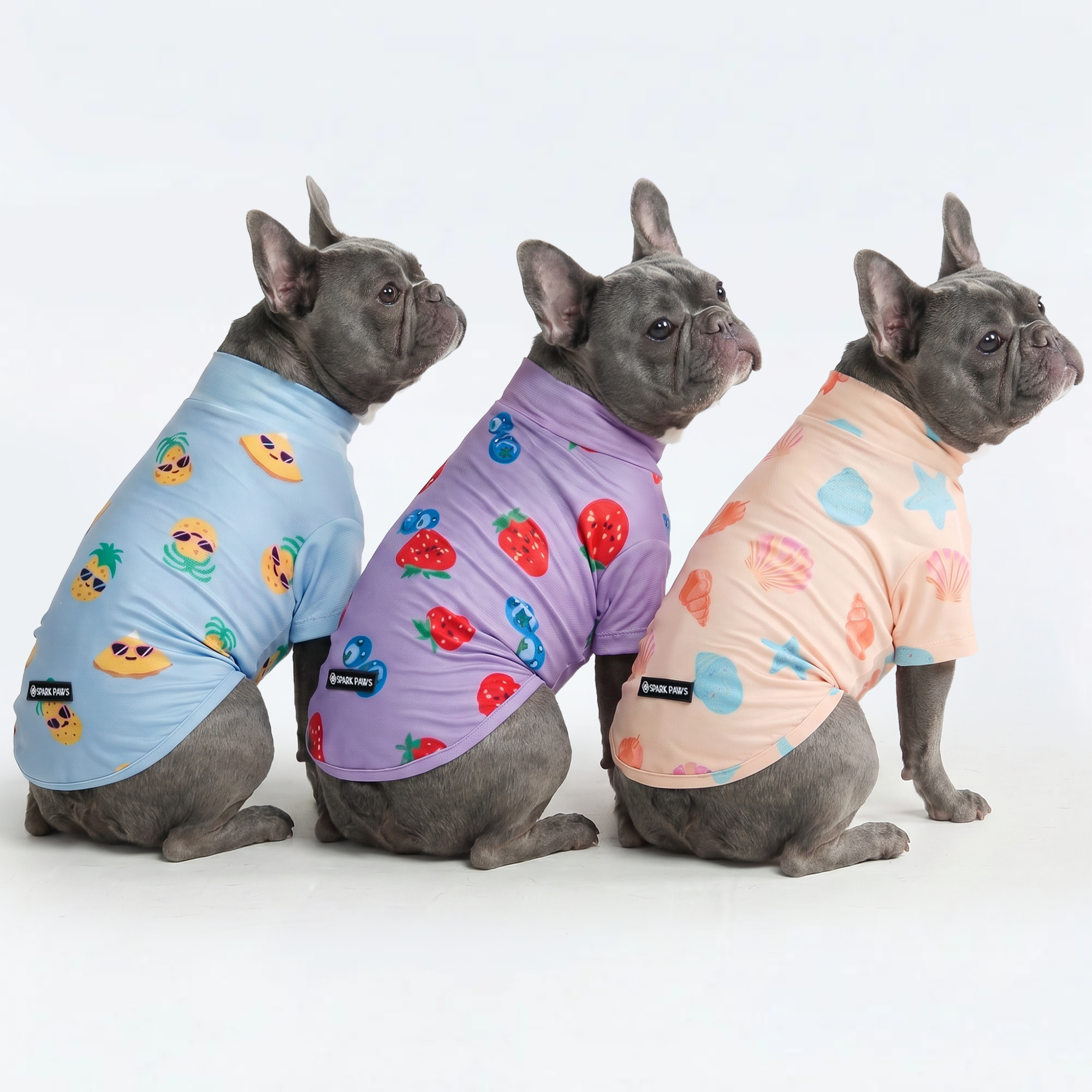 Sunblock Dog T-Shirt (3-pack) - Seashell. Berries. Pineapple - Image 3