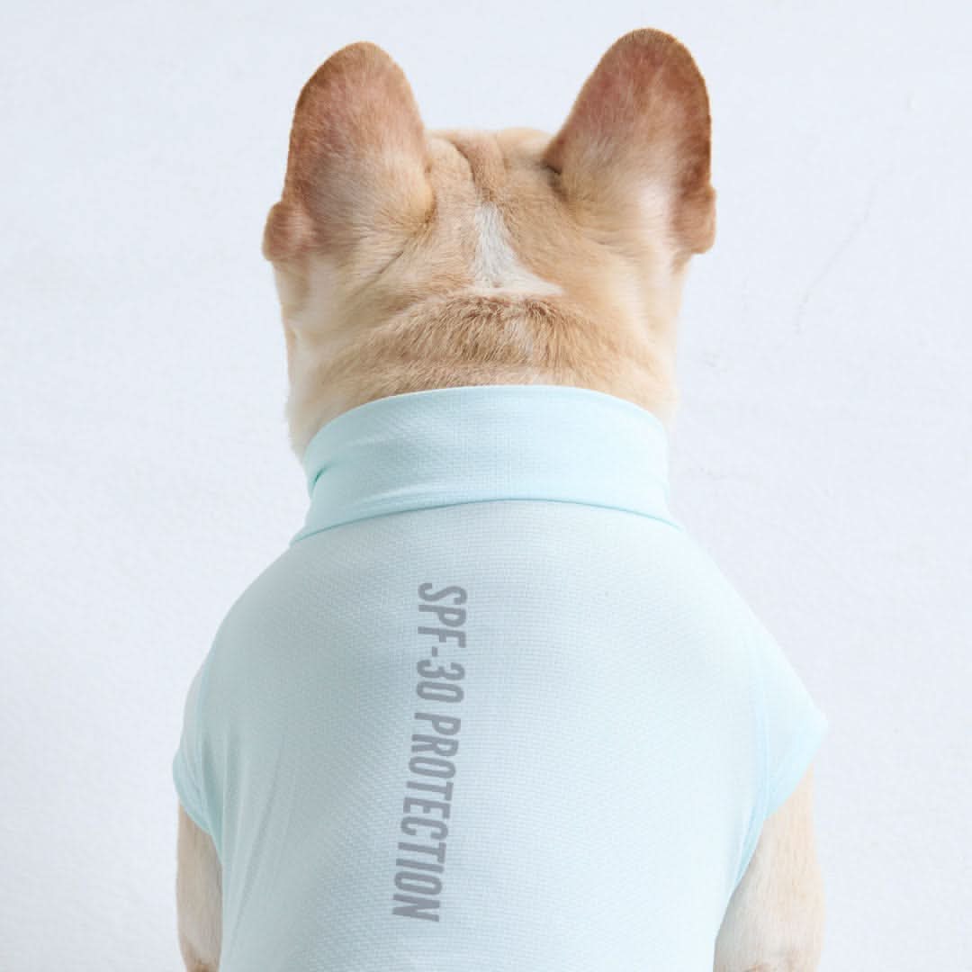 Sunblock Dog T-Shirt - Baby Blue - Image 4