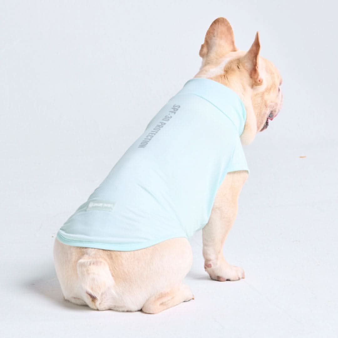 Sunblock Dog T-Shirt - Baby Blue - Image 5