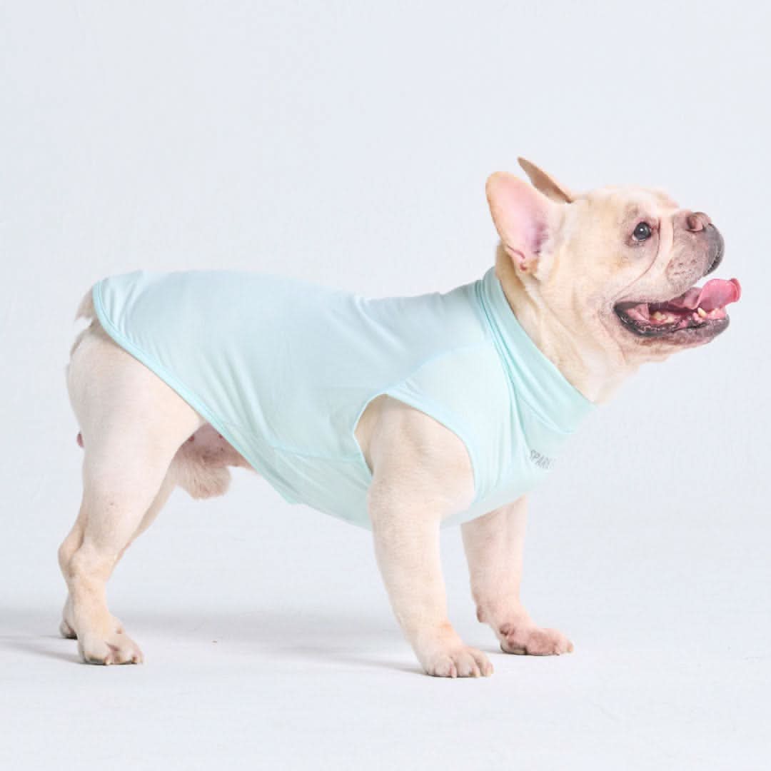Sunblock Dog T-Shirt - Baby Blue - Image 3