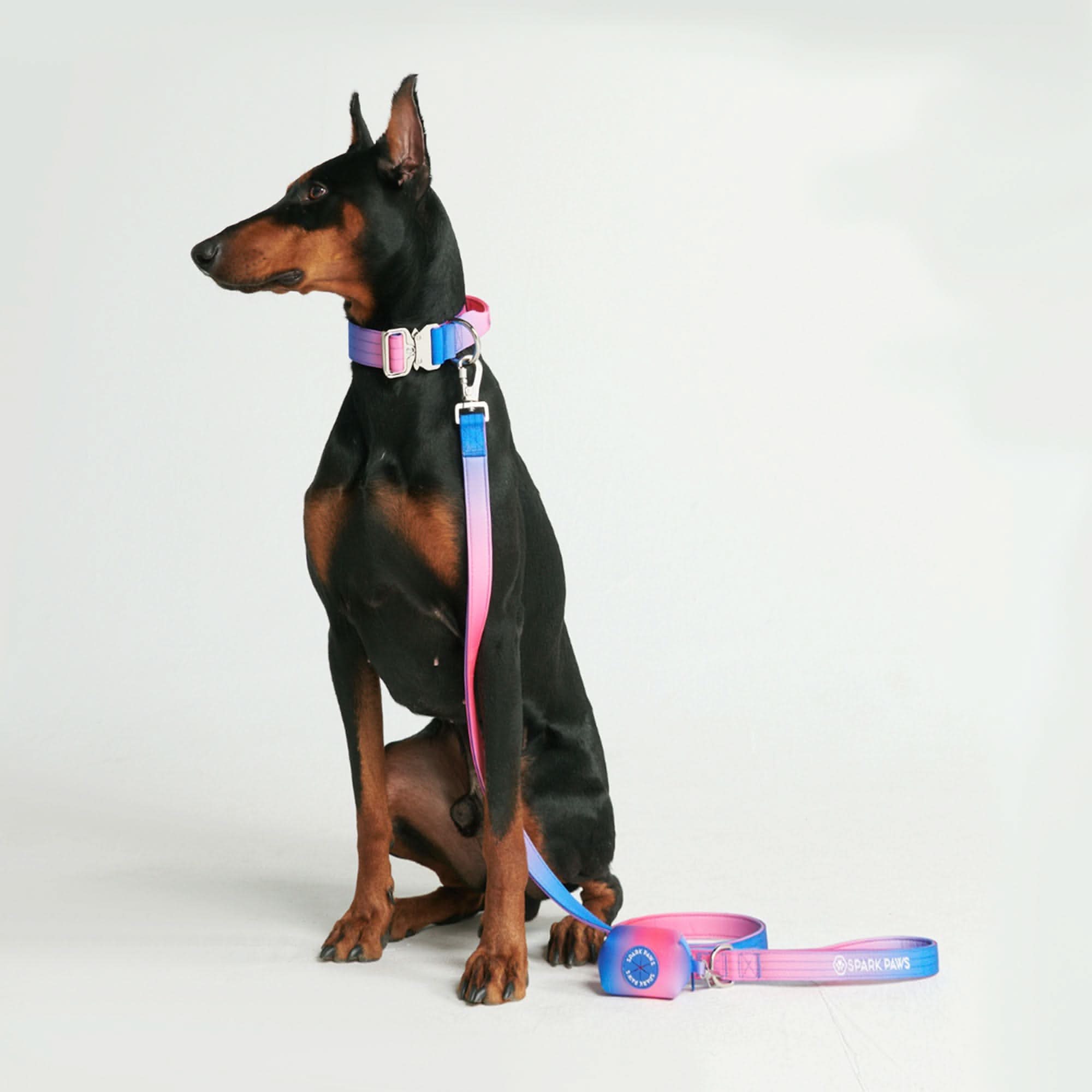 Comfort Control Collar Set - Snow Cone - Image 4