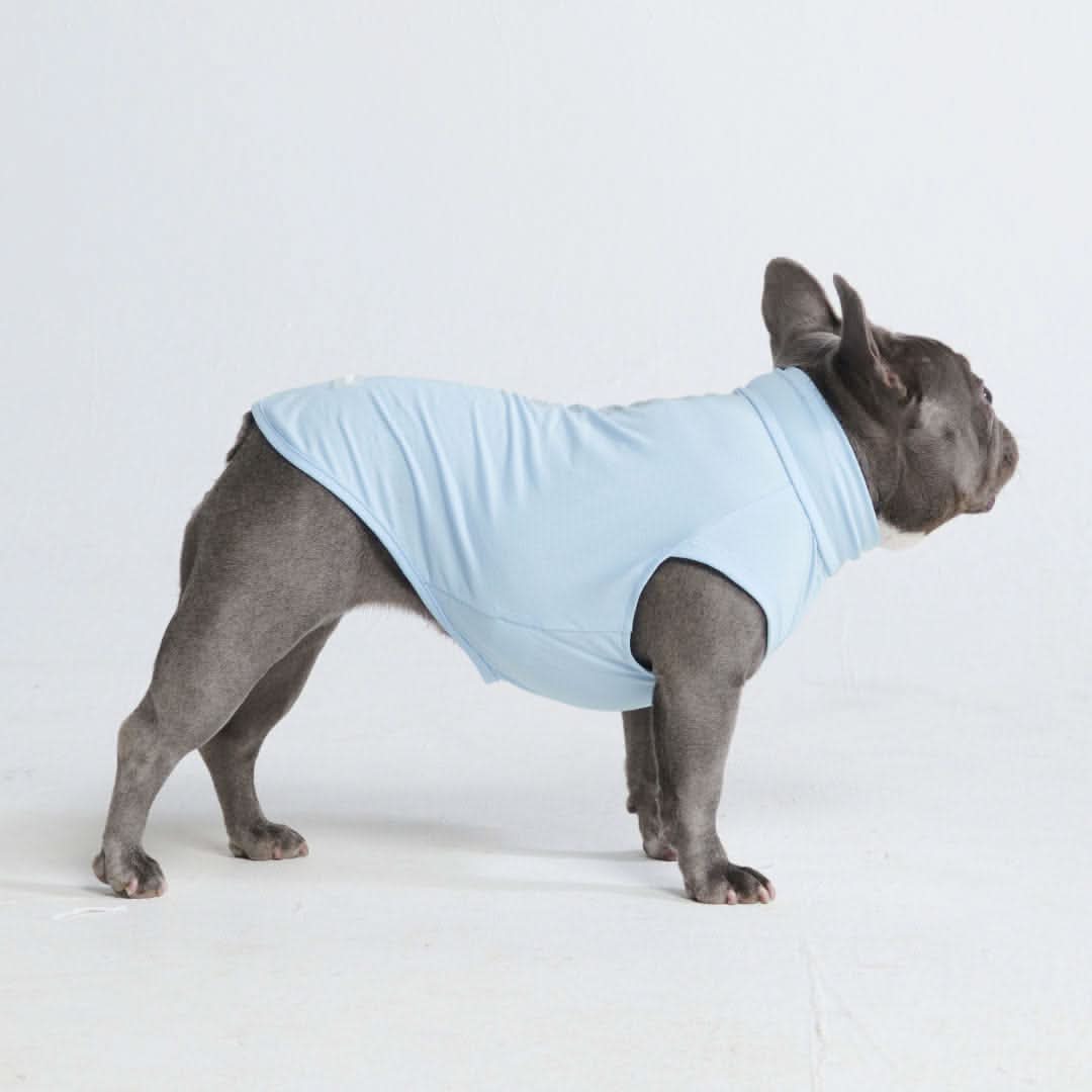 Sunblock Dog T-Shirt - Blue - Image 3