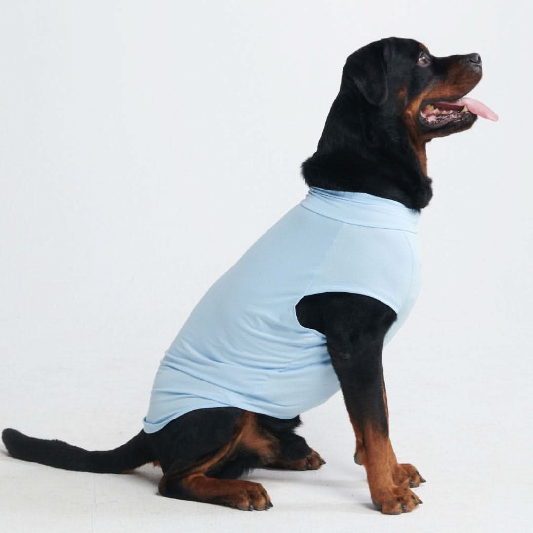 Sunblock Dog T-Shirt - Blue - Image 5