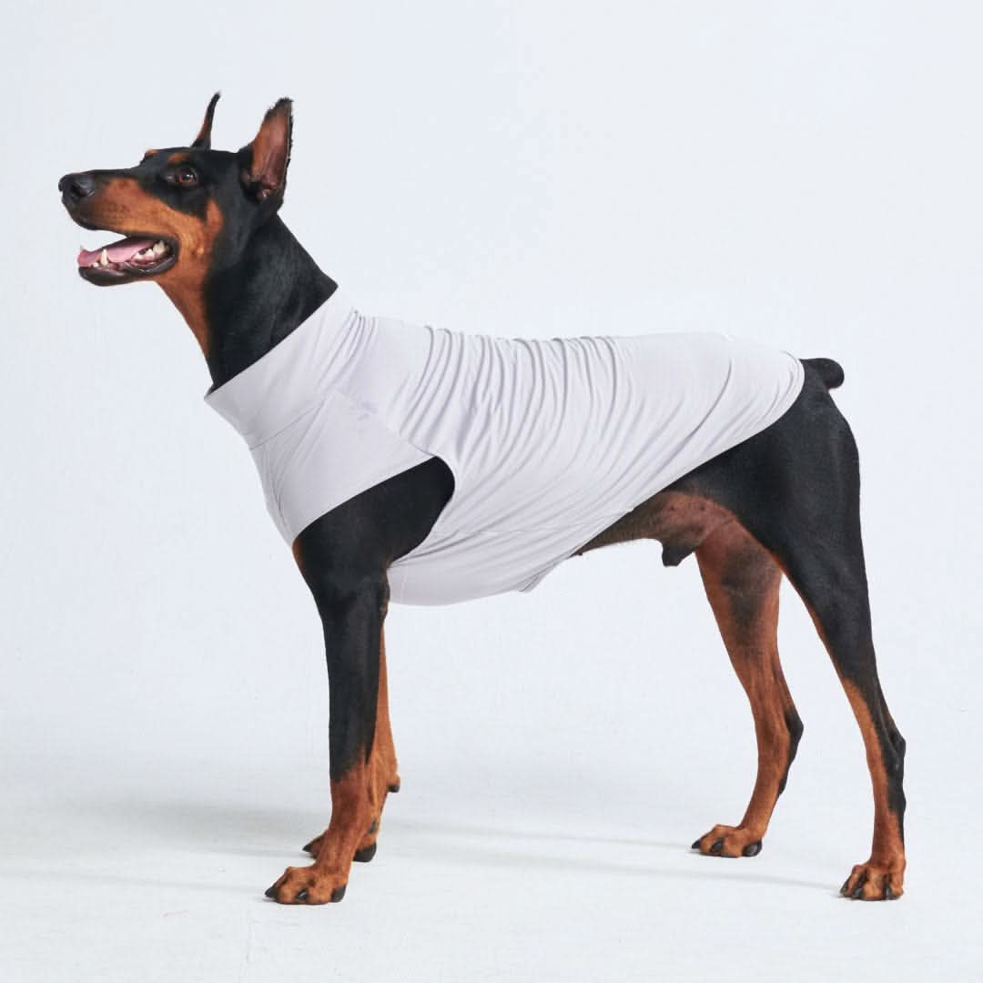 Sunblock Dog T-Shirt - Grey - Image 3