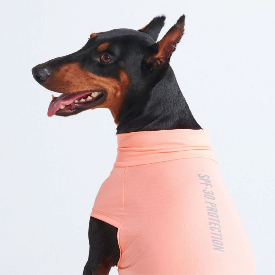 Sunblock Dog T-Shirt - Peach - Image 2