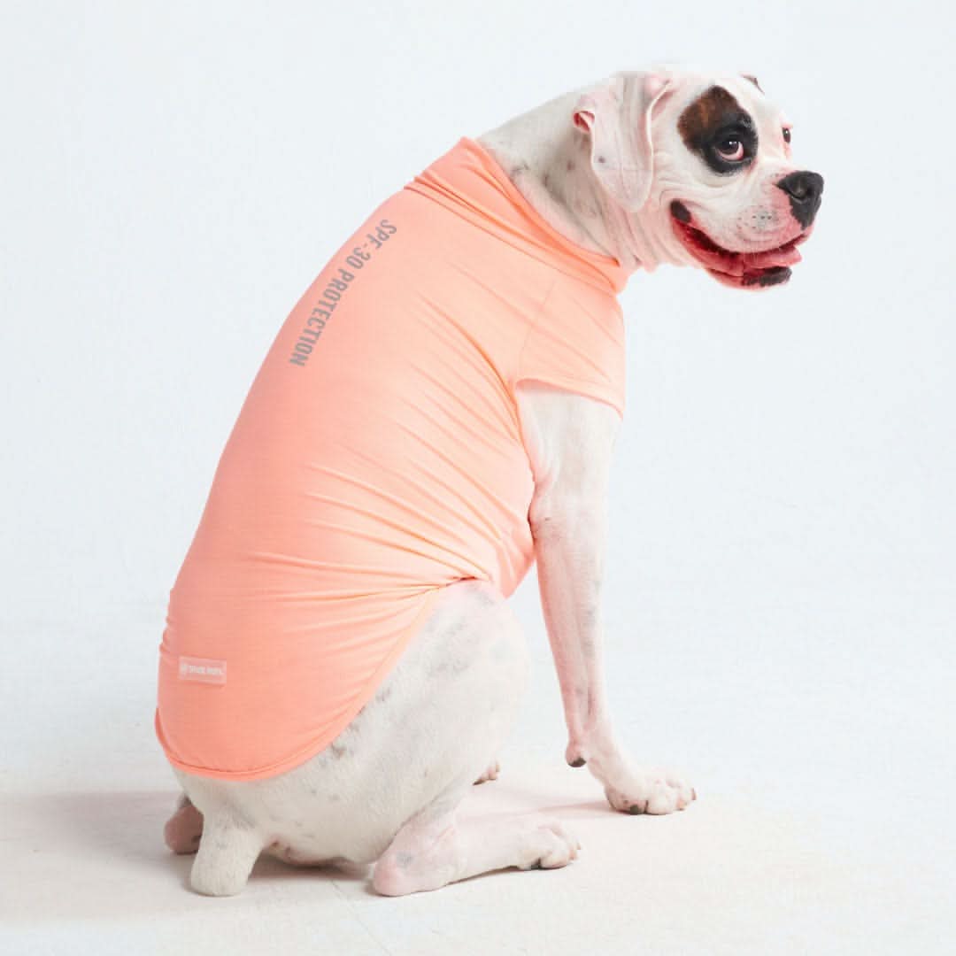 Sunblock Dog T-Shirt - Peach - Image 6