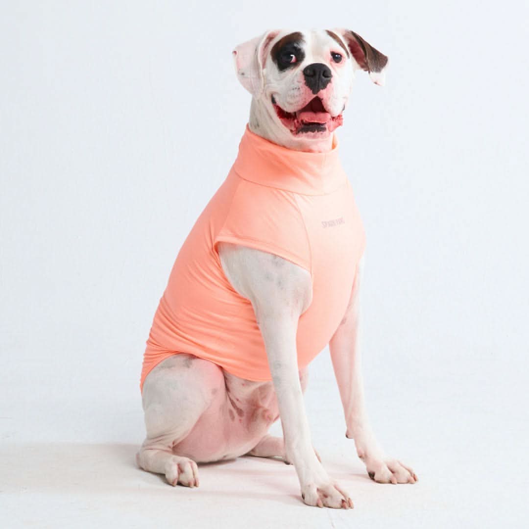 Sunblock Dog T-Shirt - Peach - Image 5