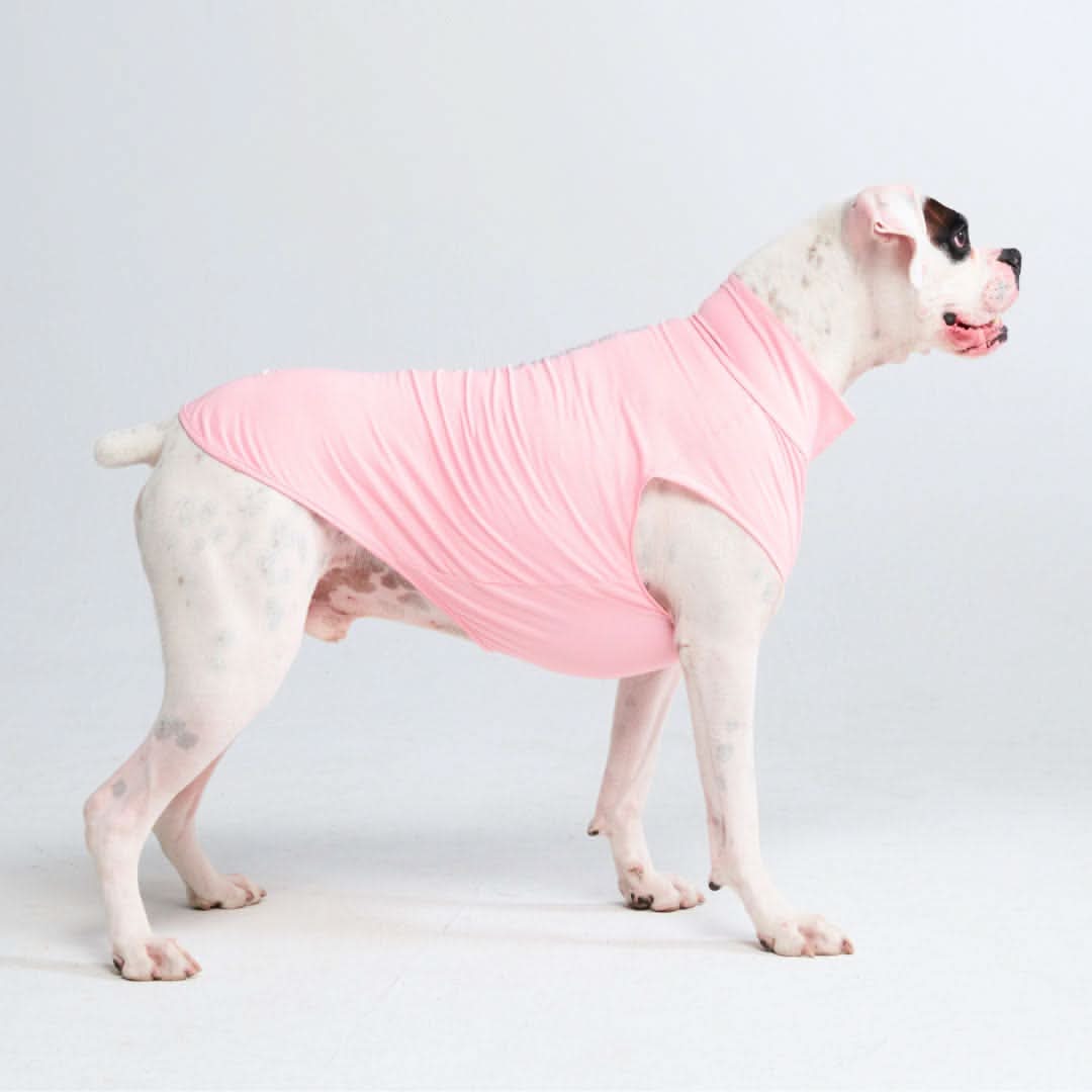Sunblock Dog T-Shirt - Pink - Image 5