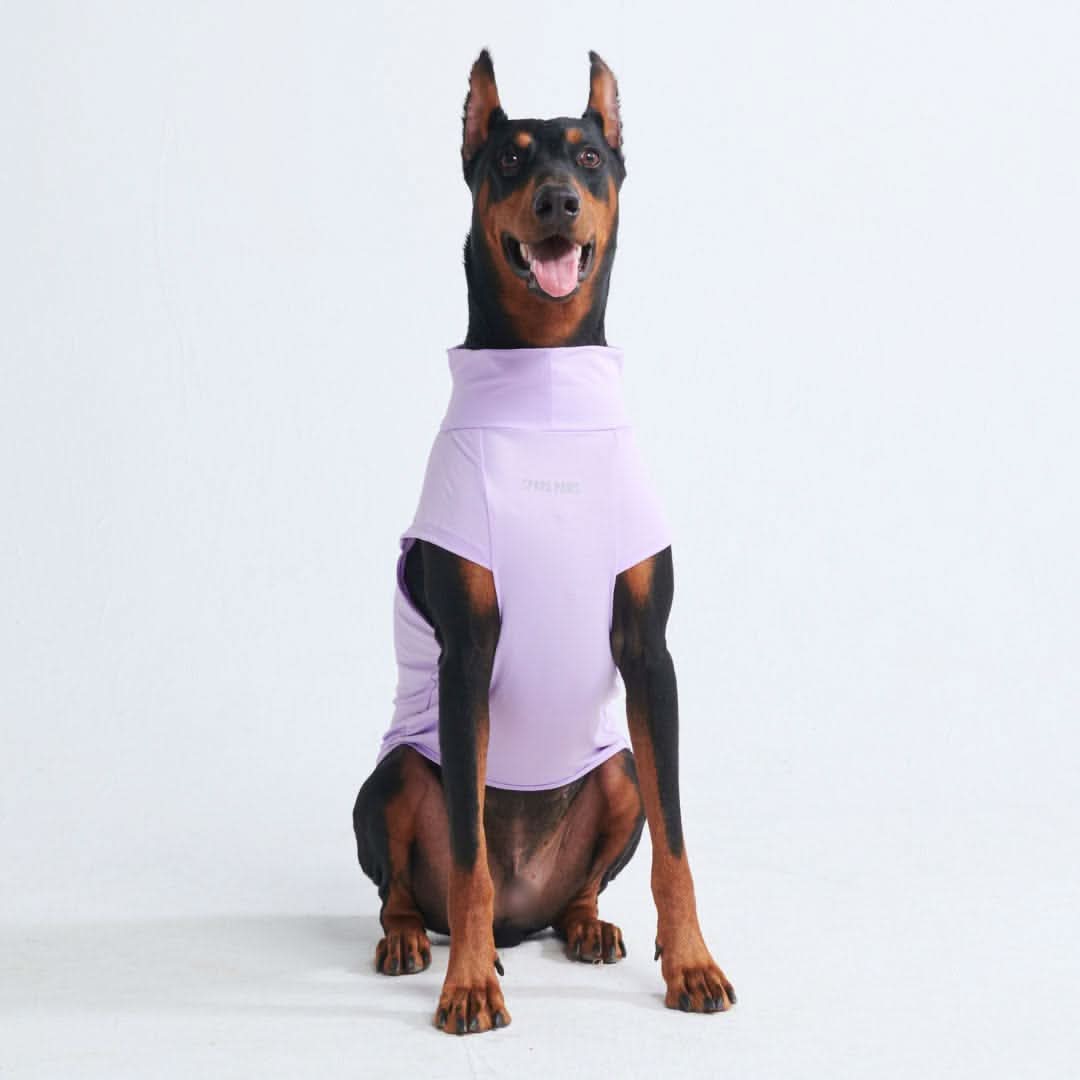 Sunblock Dog T-Shirt - Purple - Image 3