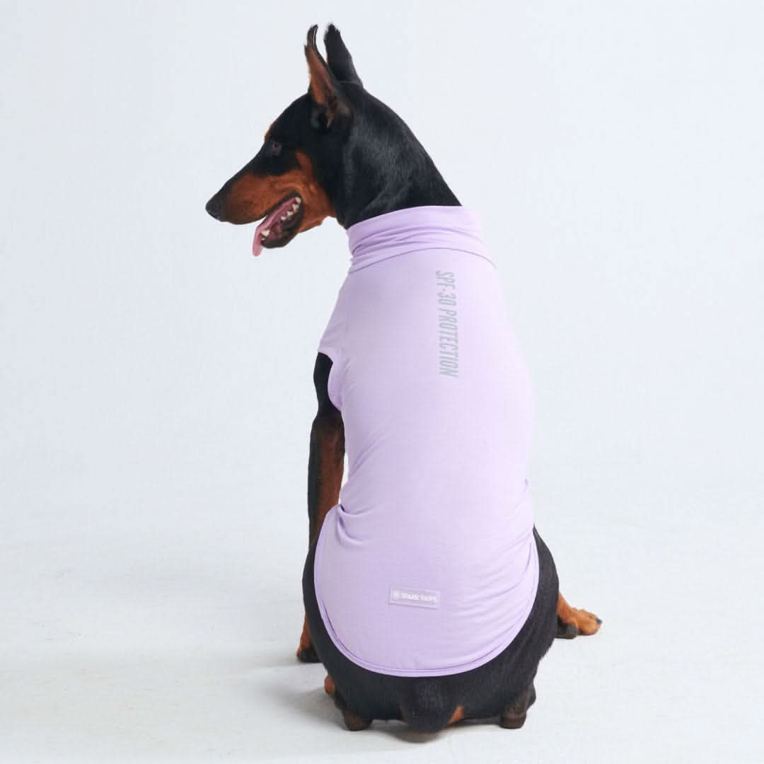 Sunblock Dog T-Shirt - Purple - Image 7