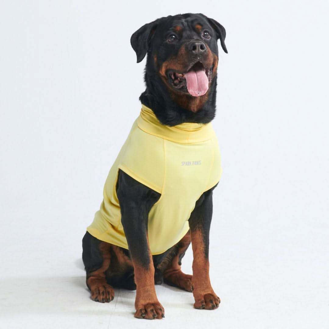 Sunblock Dog T-Shirt - Yellow - Image 2