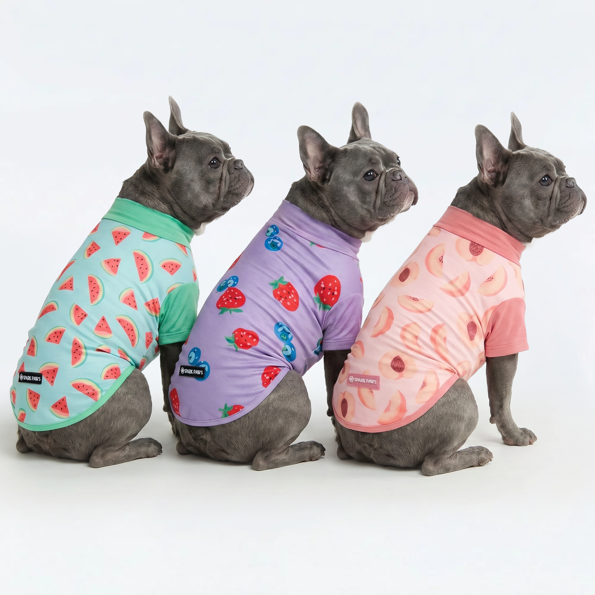 Sunblock Dog T-Shirt (3-pack) - Watermelon. Berries. Peaches